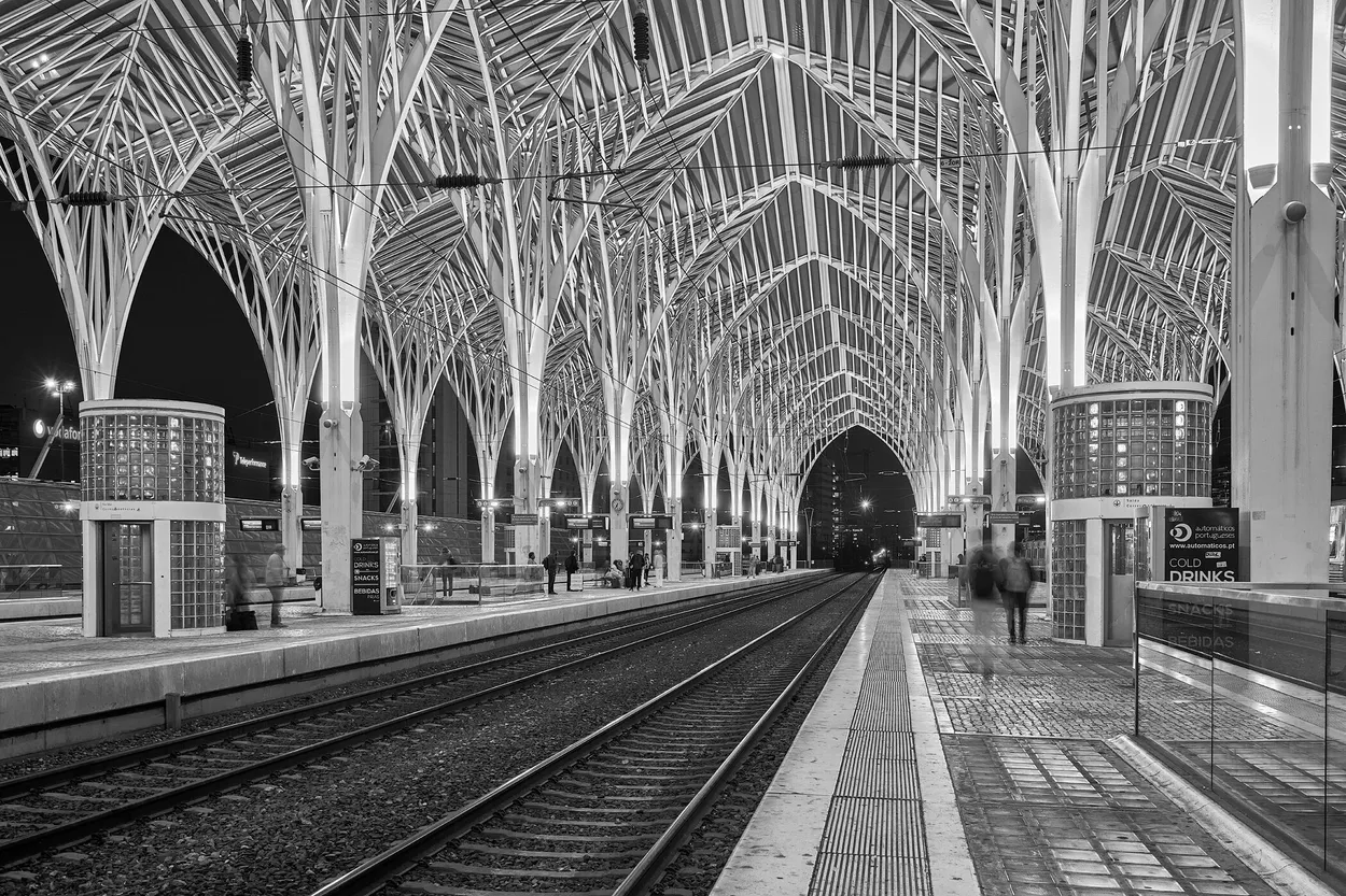 Entry 22731087