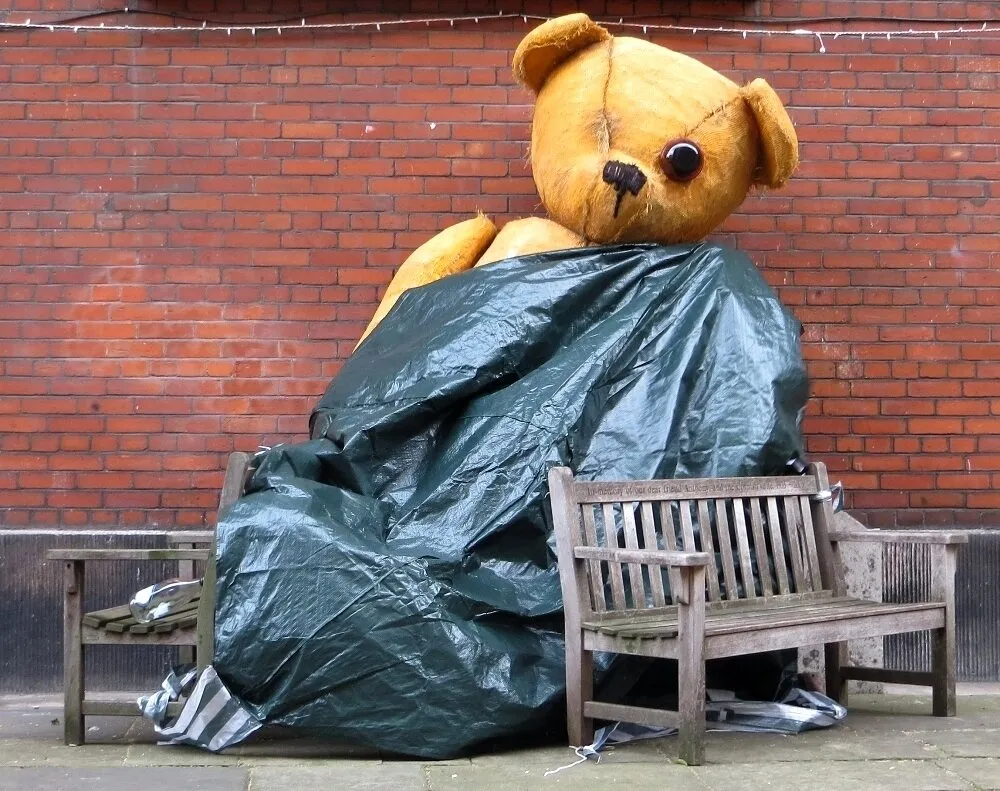 Entry 21906810