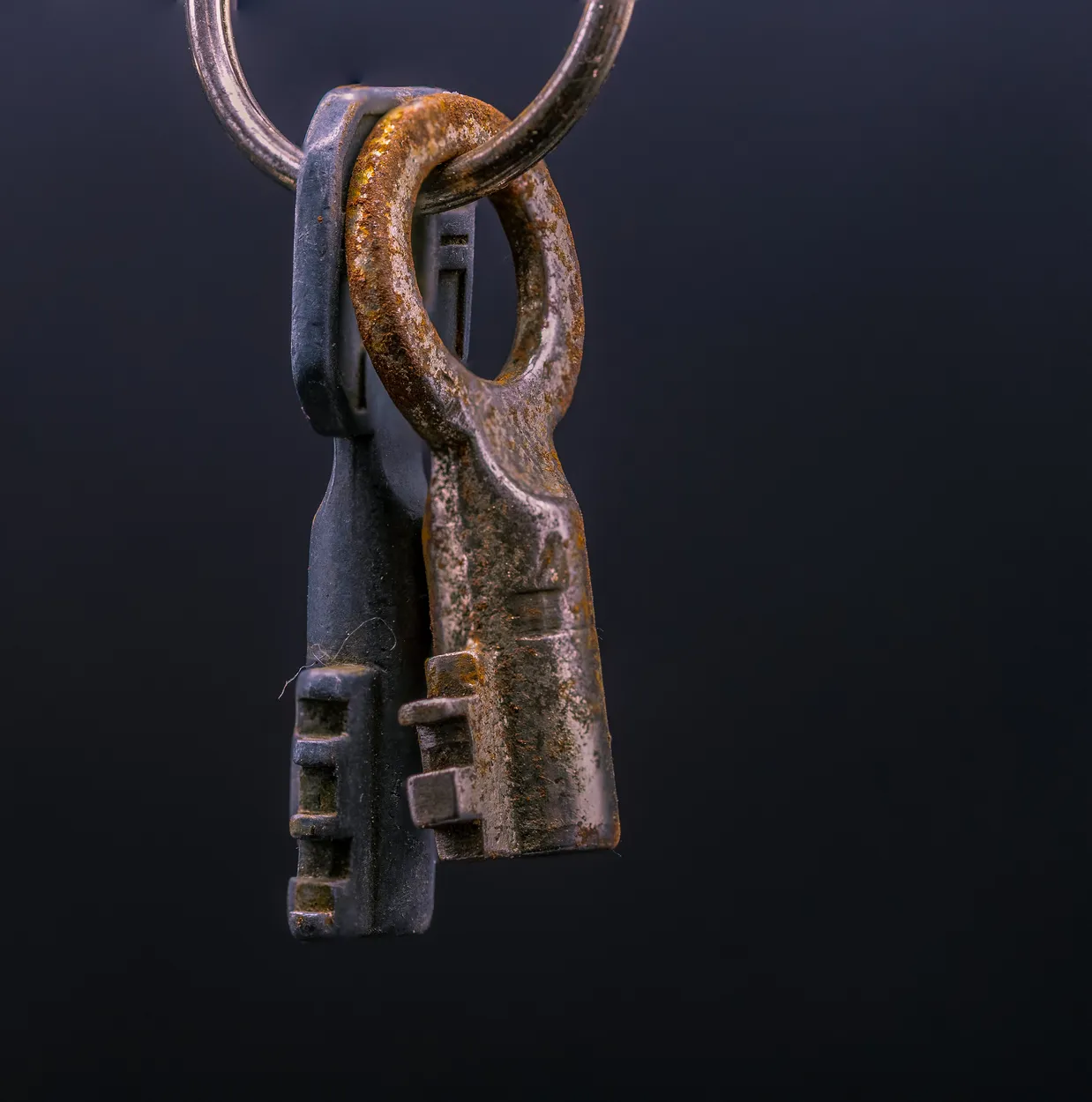 Entry 22225531