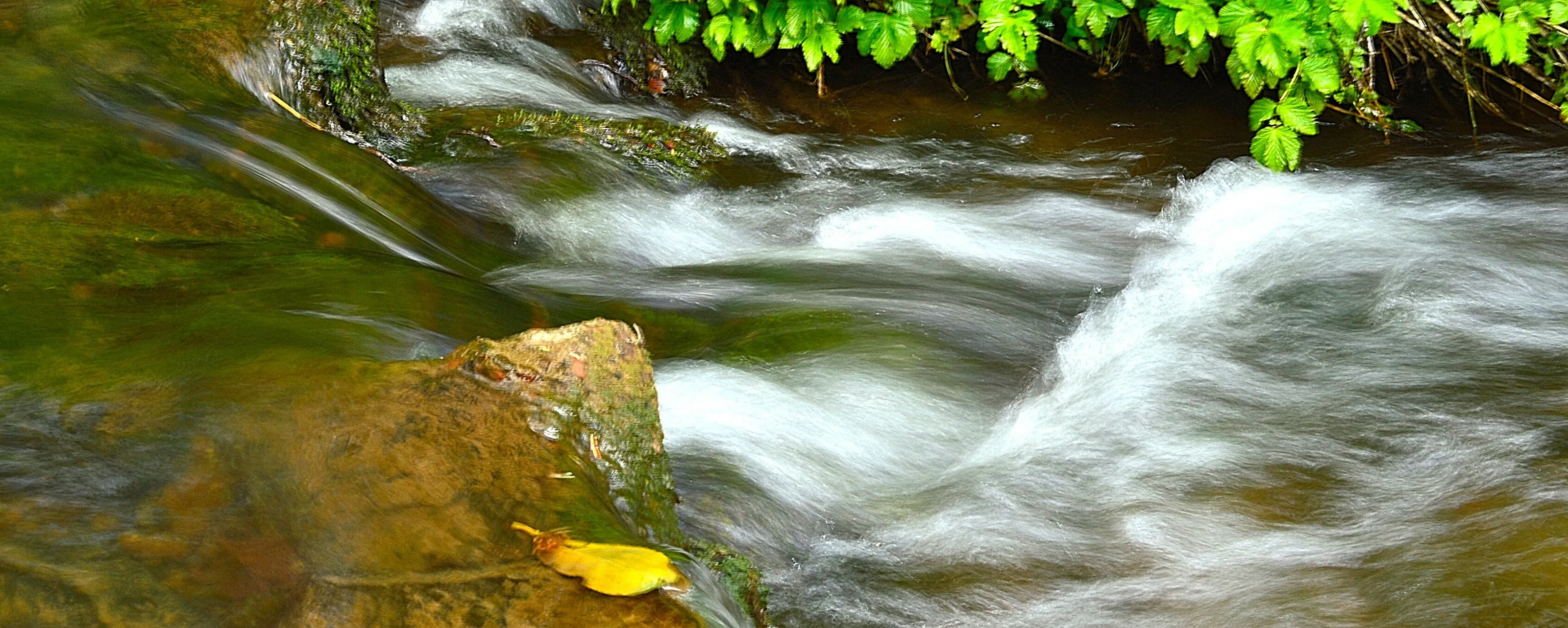 Rushing stream