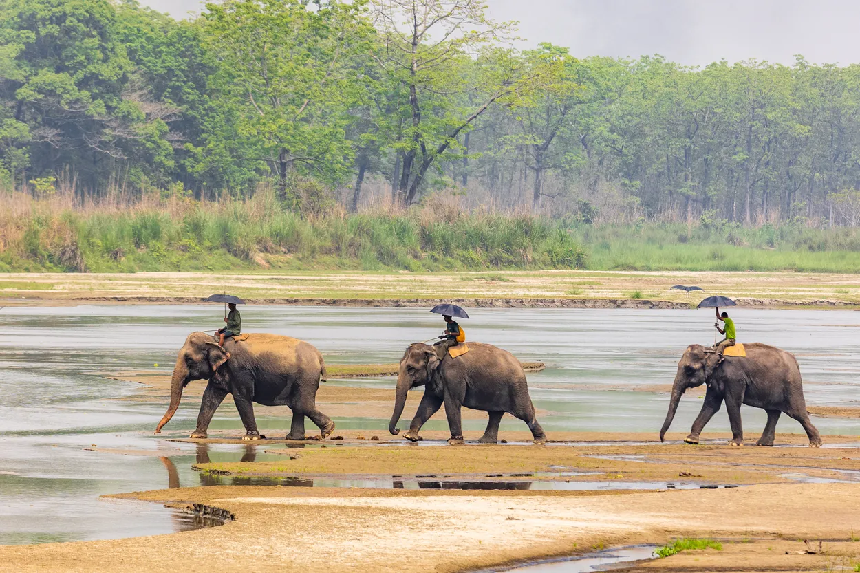 Entry 22240782