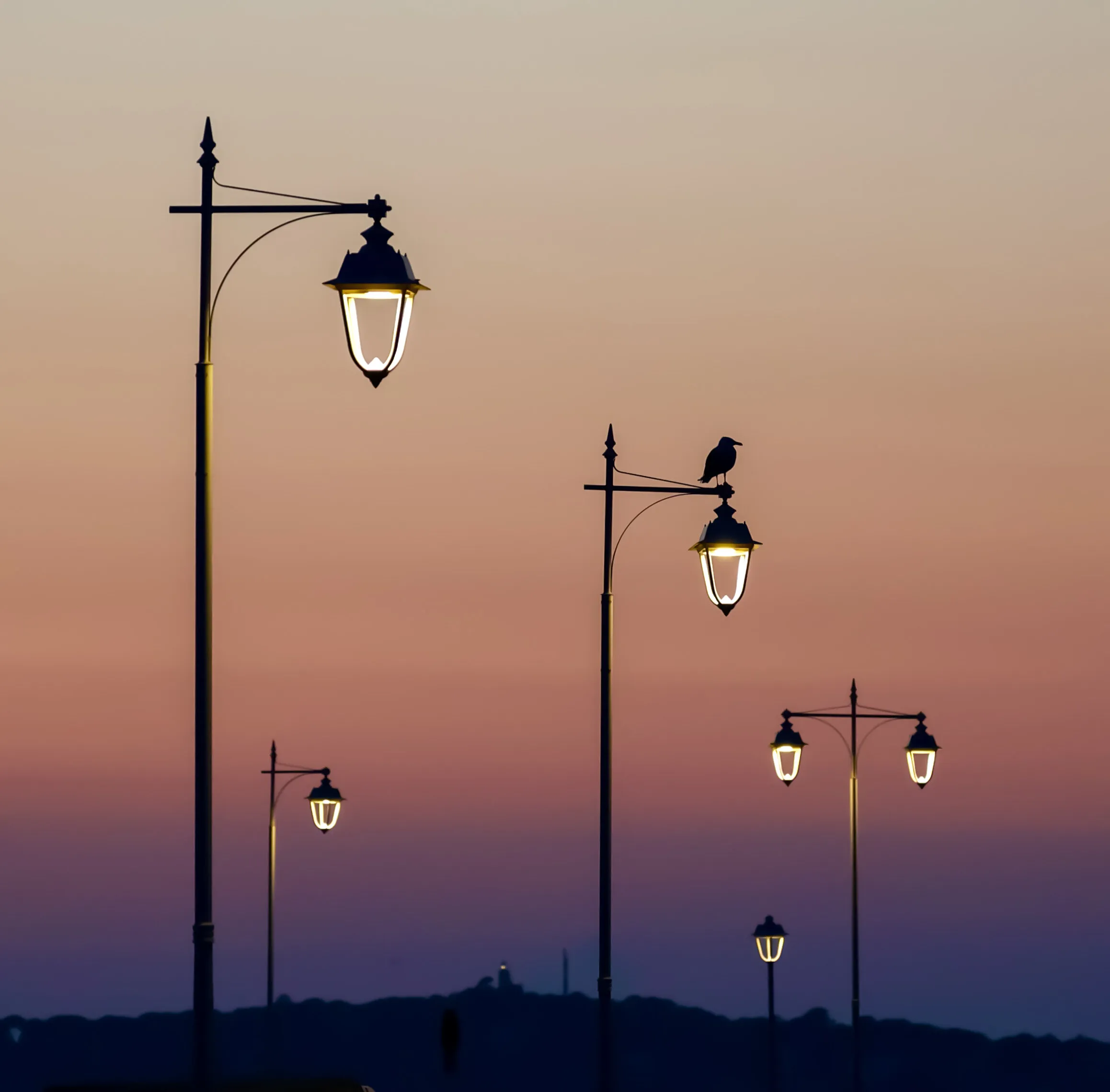 Waiting for the Fisherman