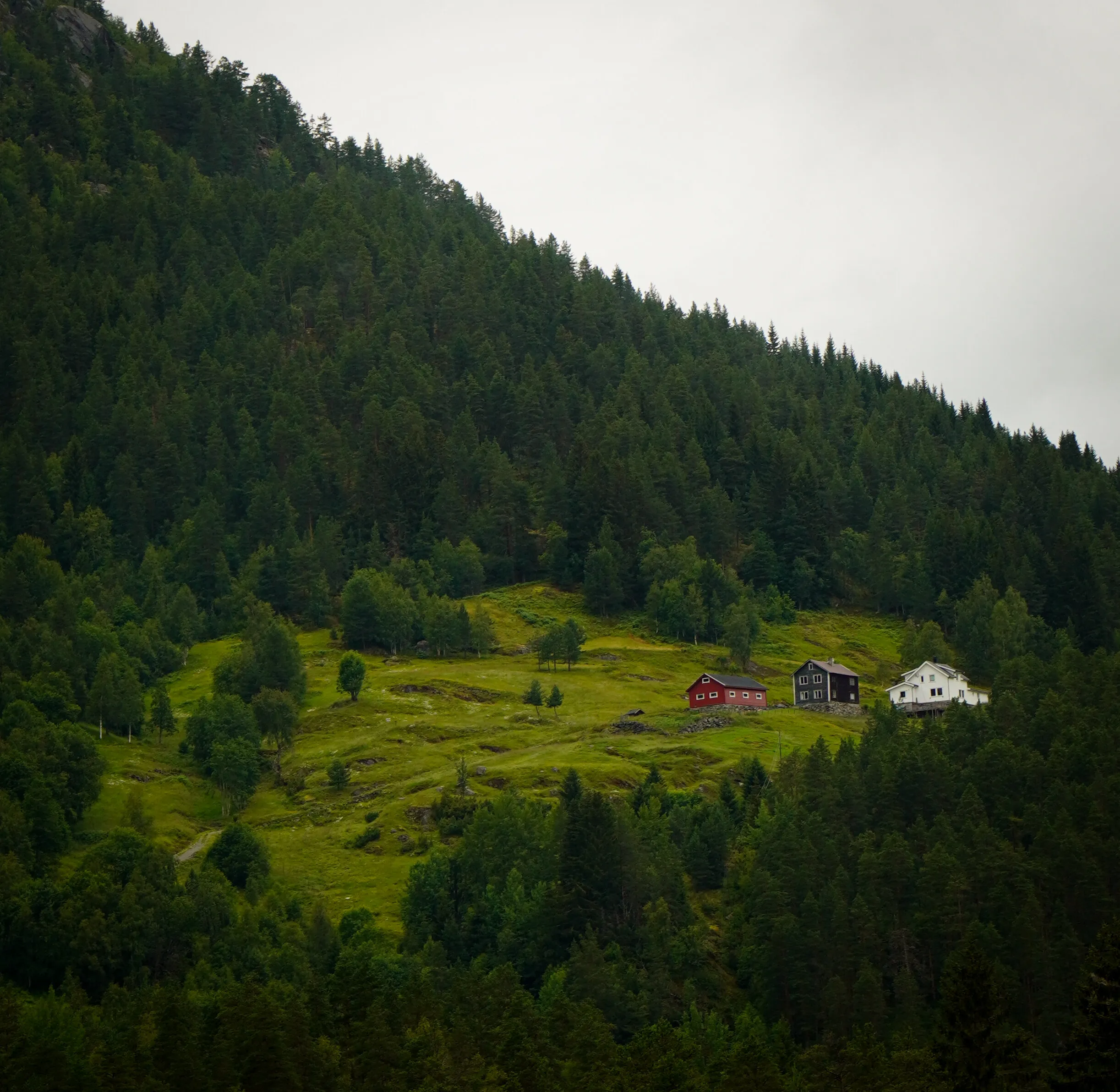 Home