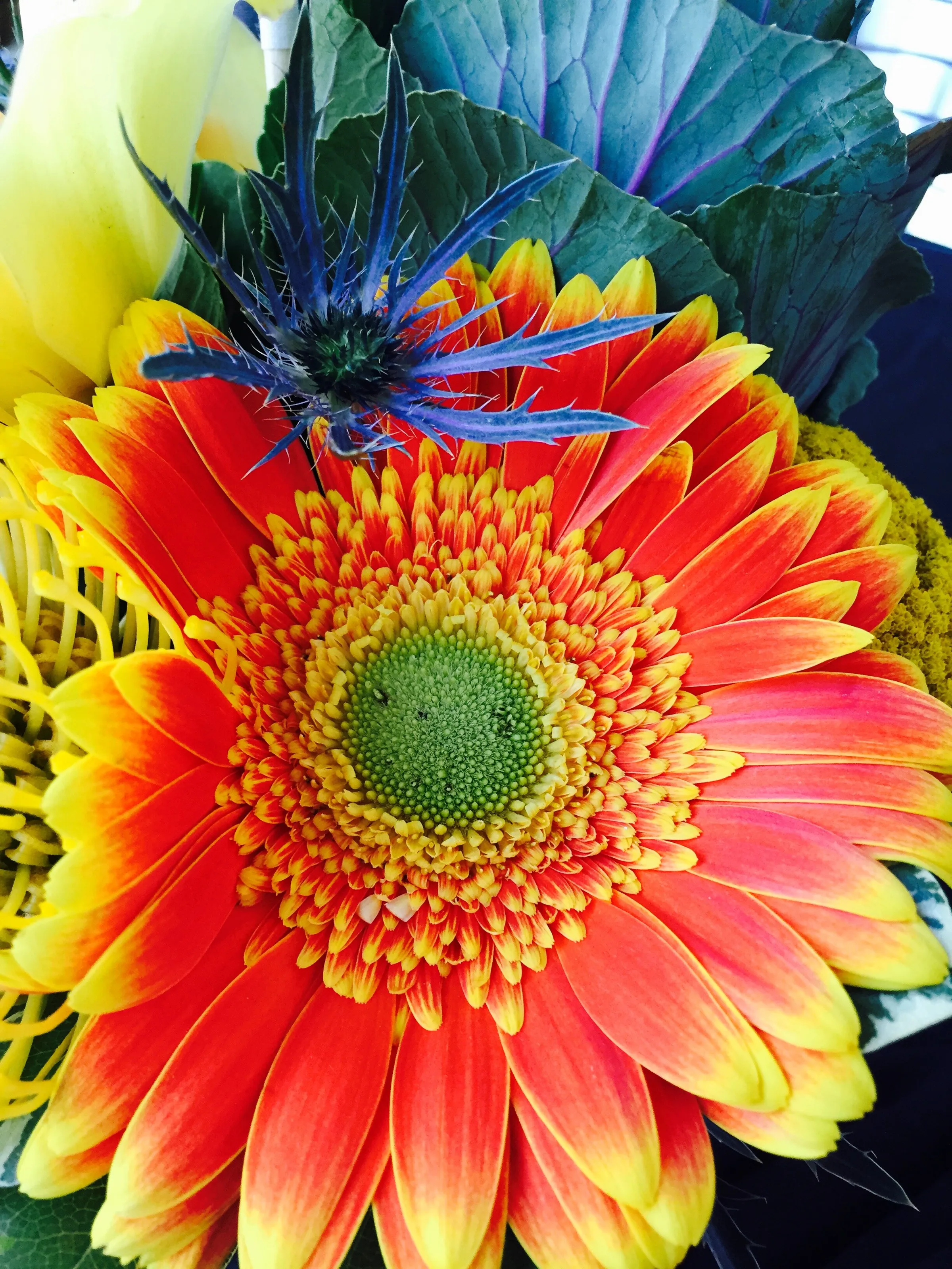 Vibrant flower