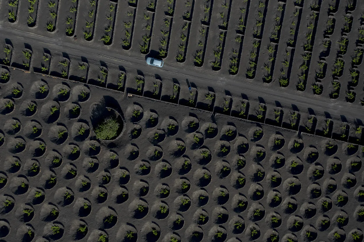 Entry 27004206