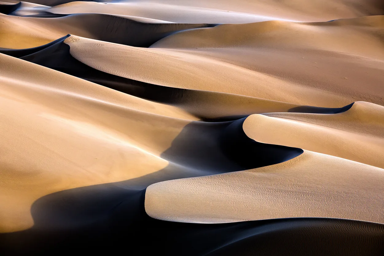 Entry 1115682