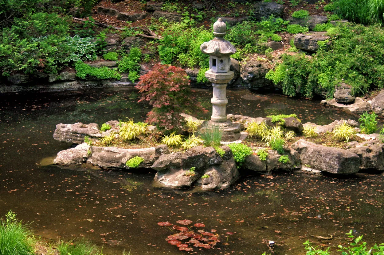 Entry 22941569