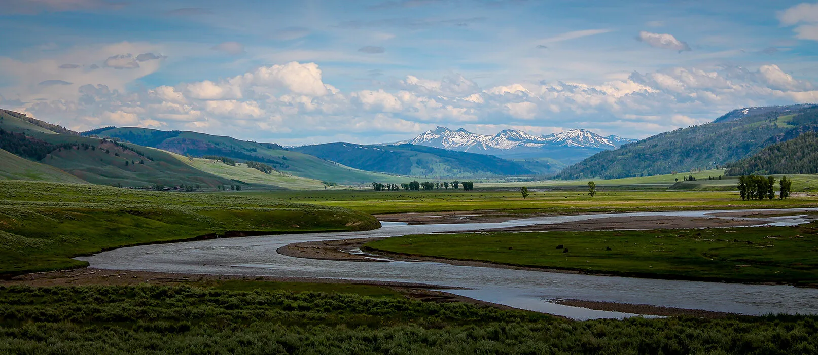 Lamar Valley Yellowstone