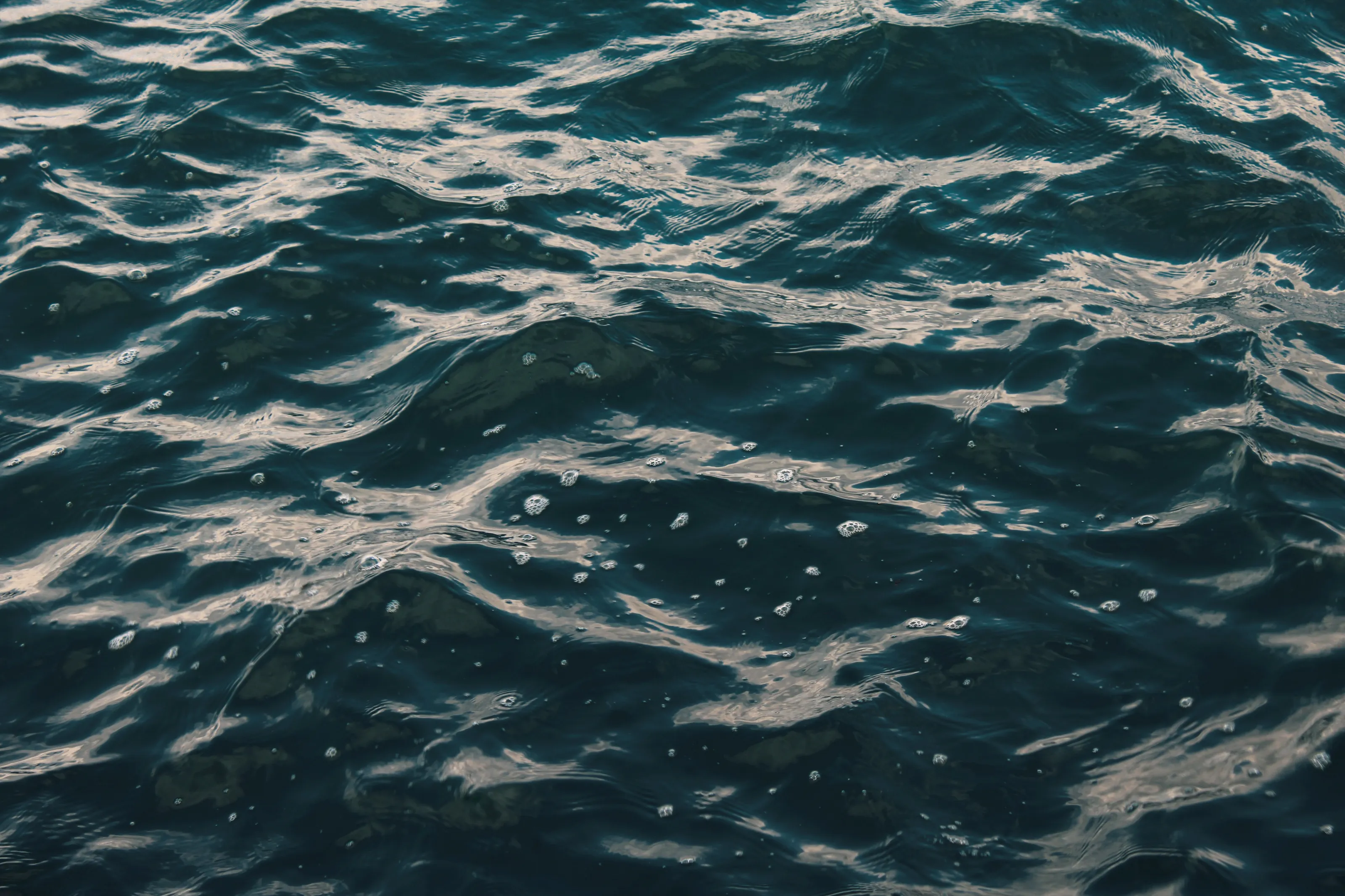 Life by the sea