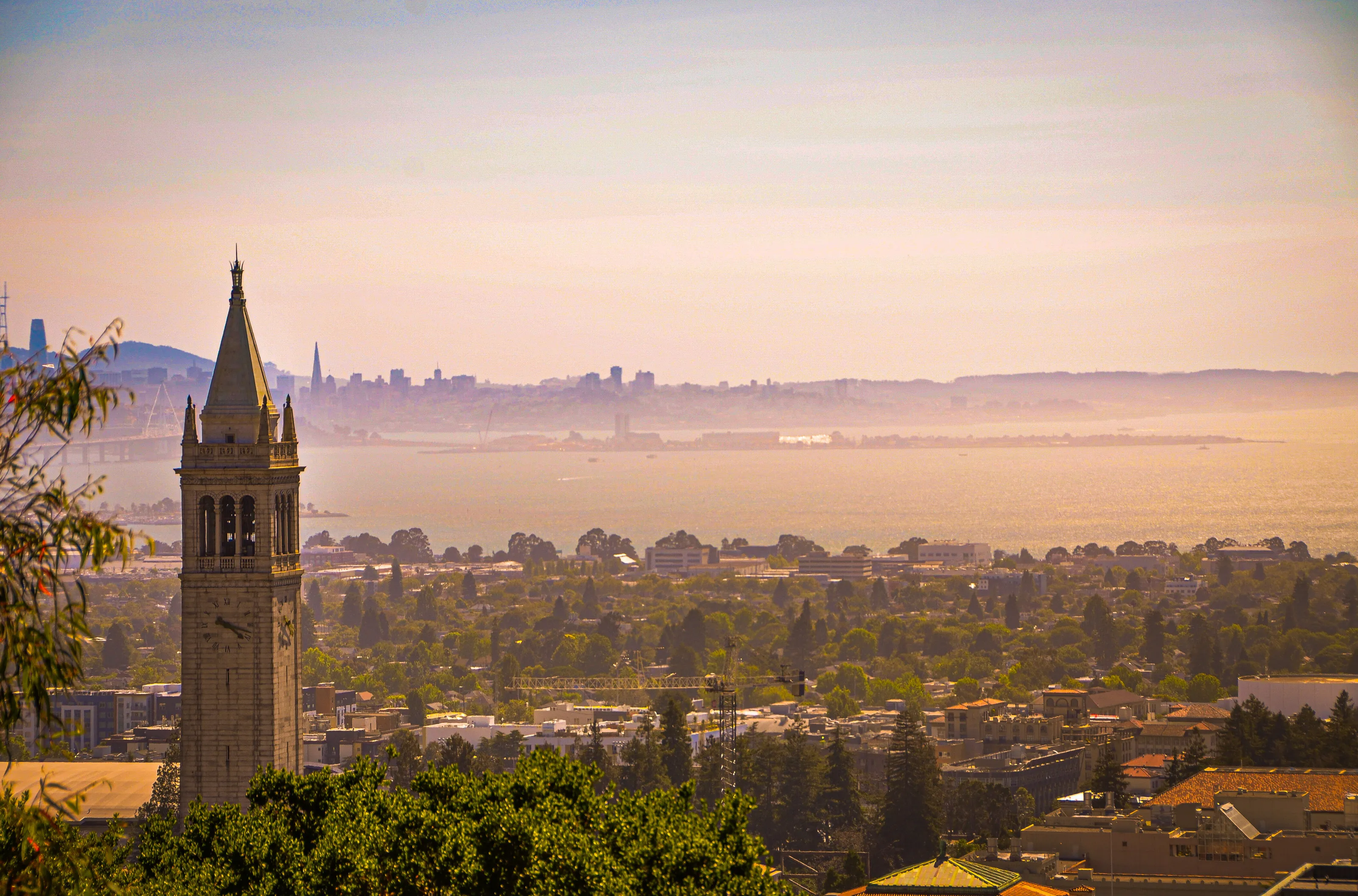 Bay Area At Dawn