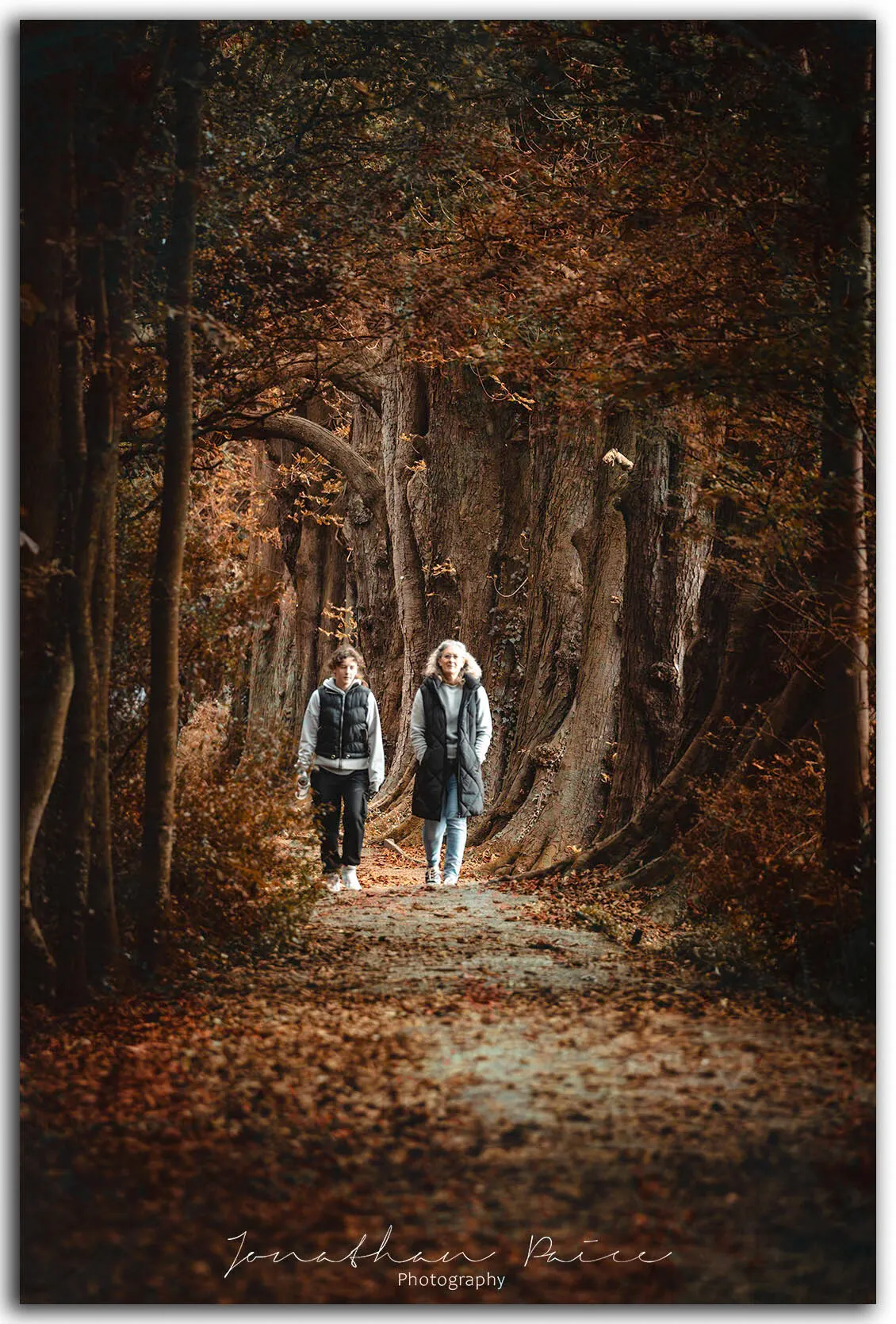 Woodland walk