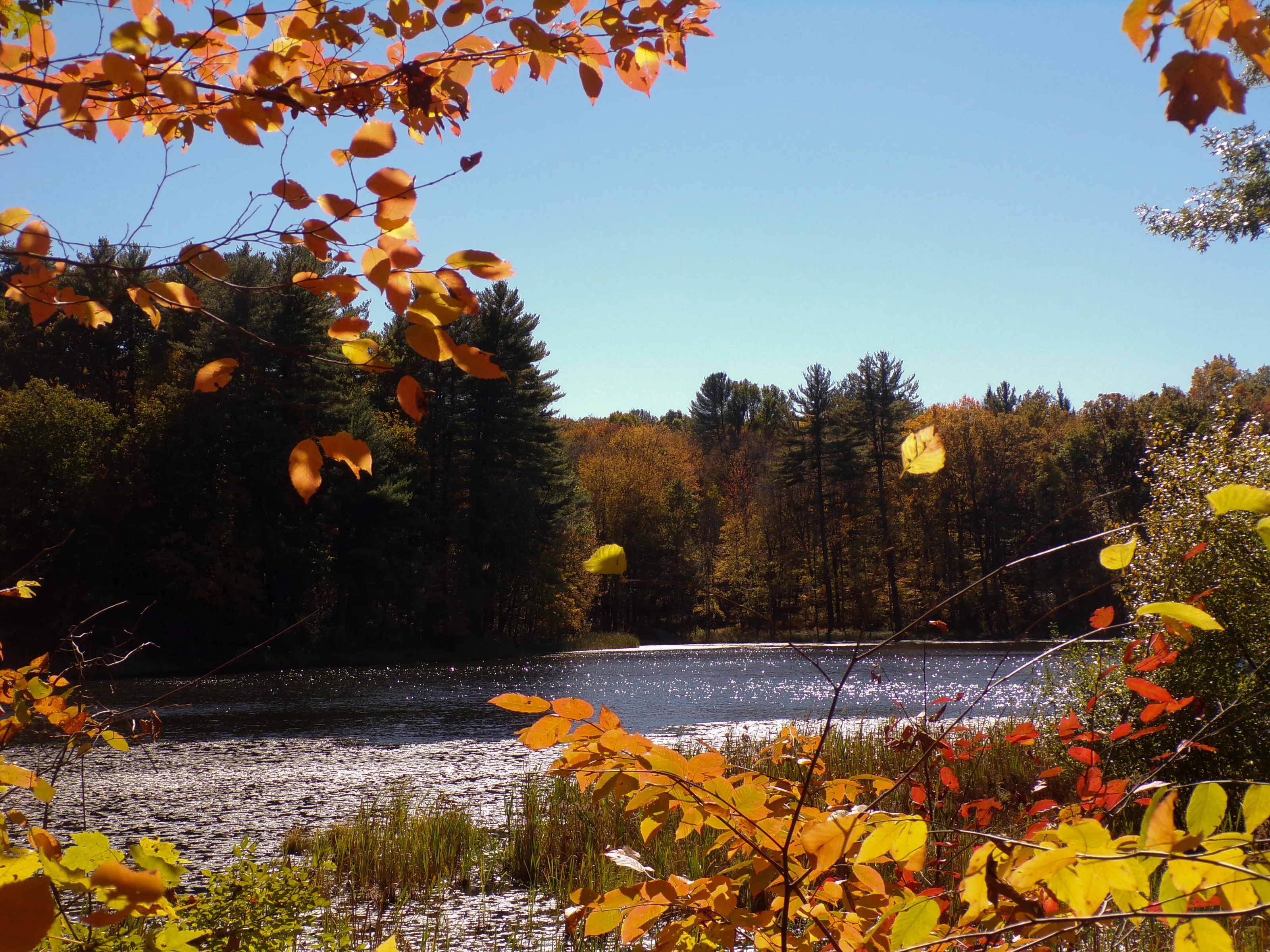 A sunny fall day in a lake