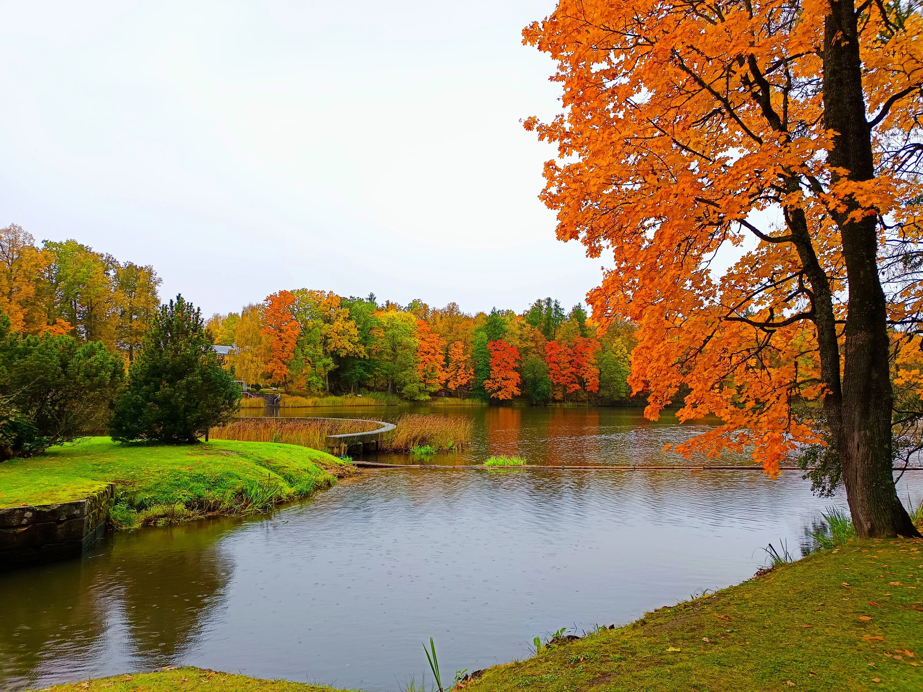 Räpina park