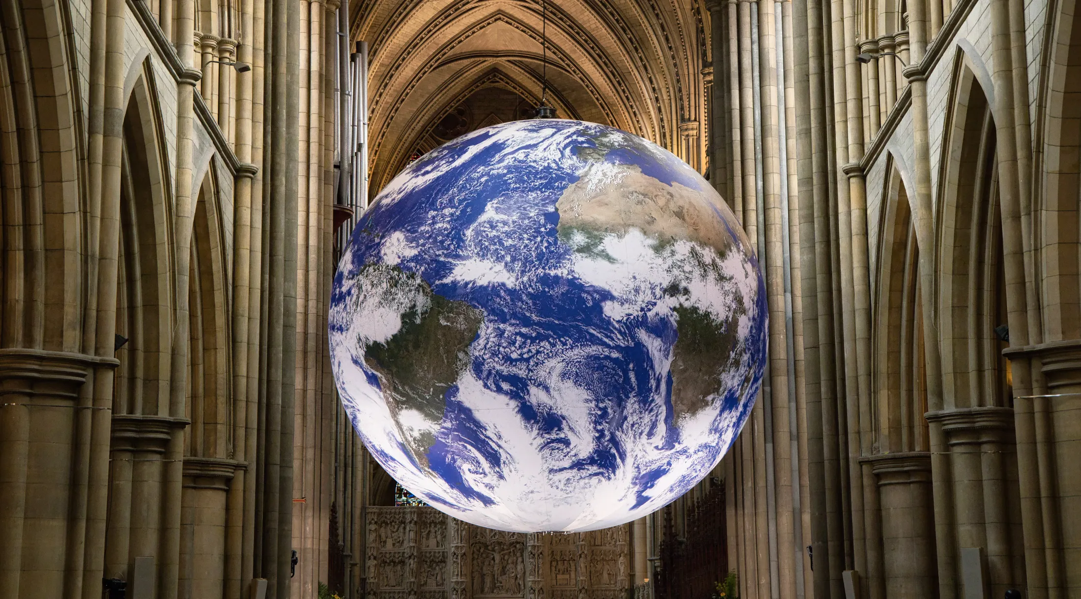 Entry 25950054