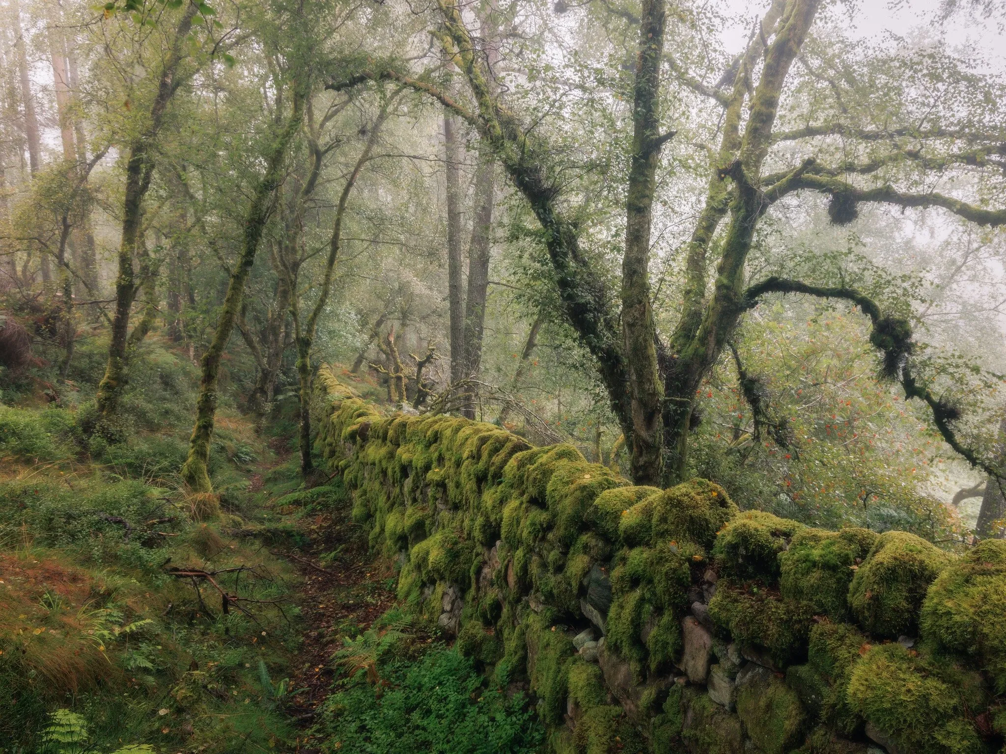 Bricks or Stone in Nature