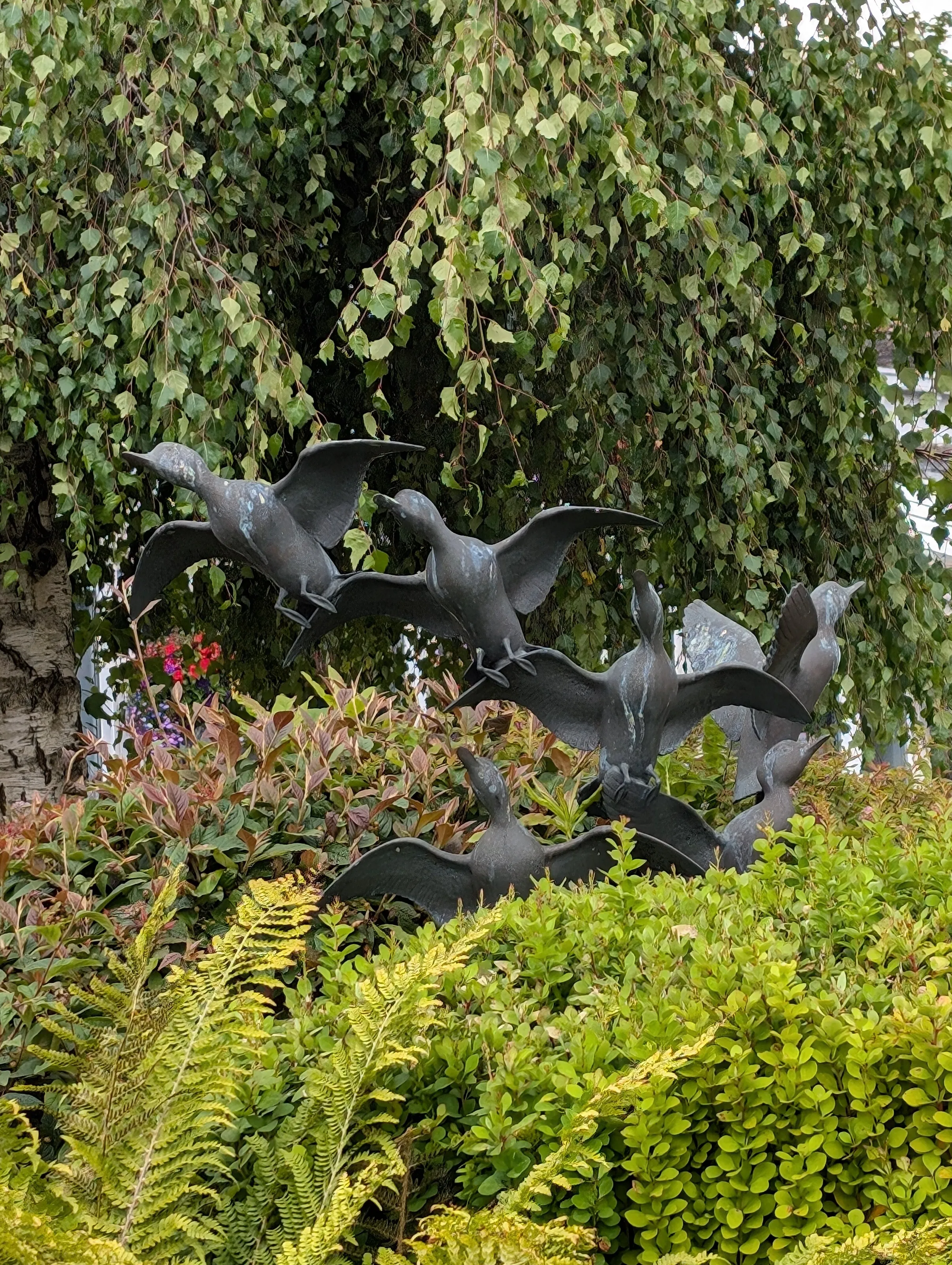As the birds fly