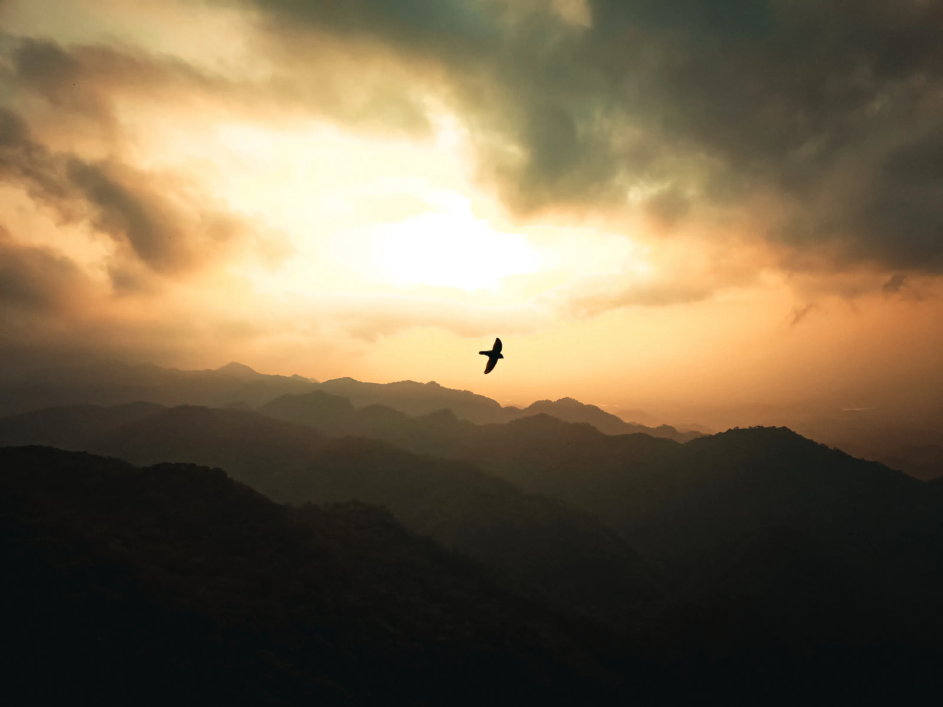 "Sunset Soar: A Bird's Flight in the Majestic Mountains"