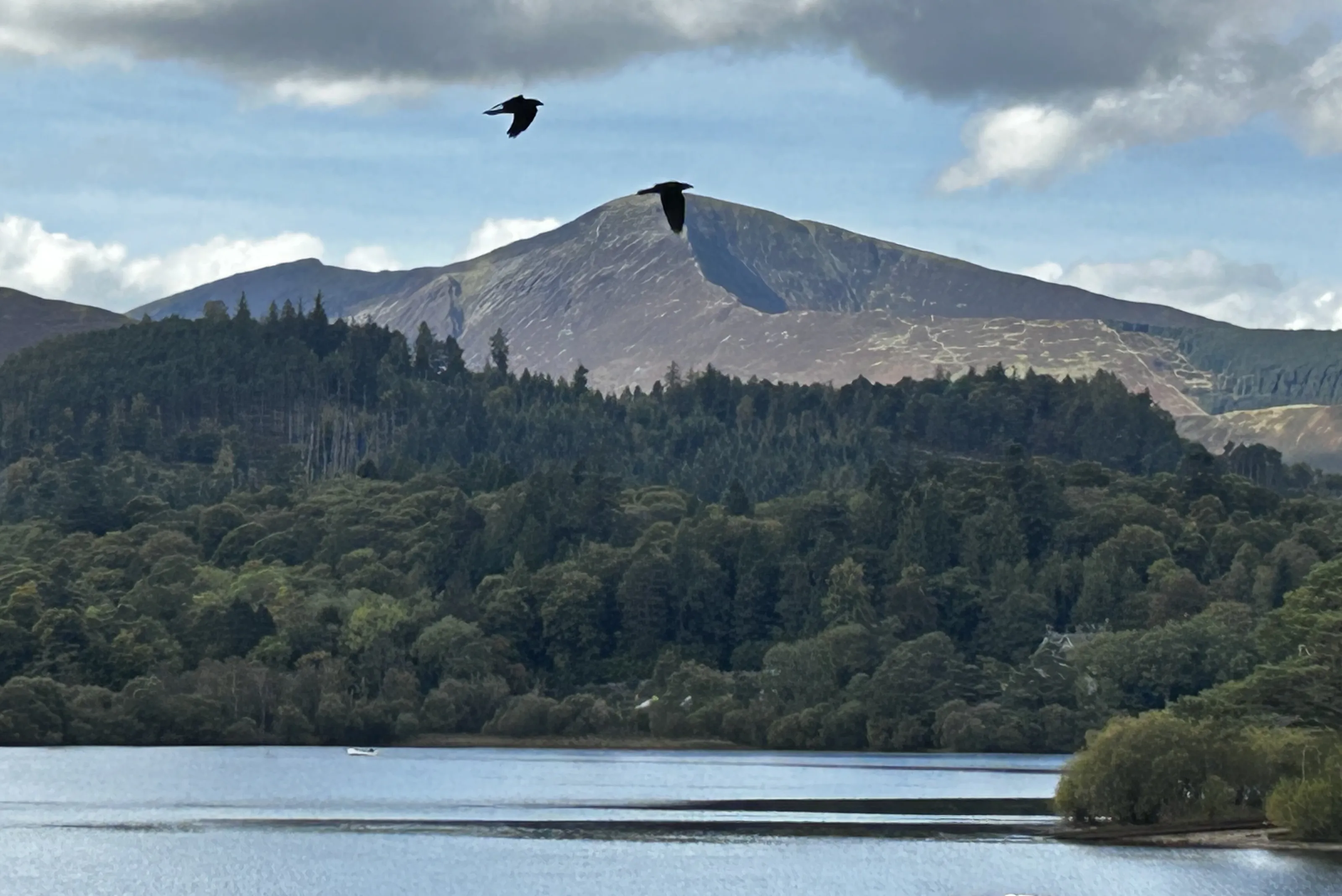 The lakes