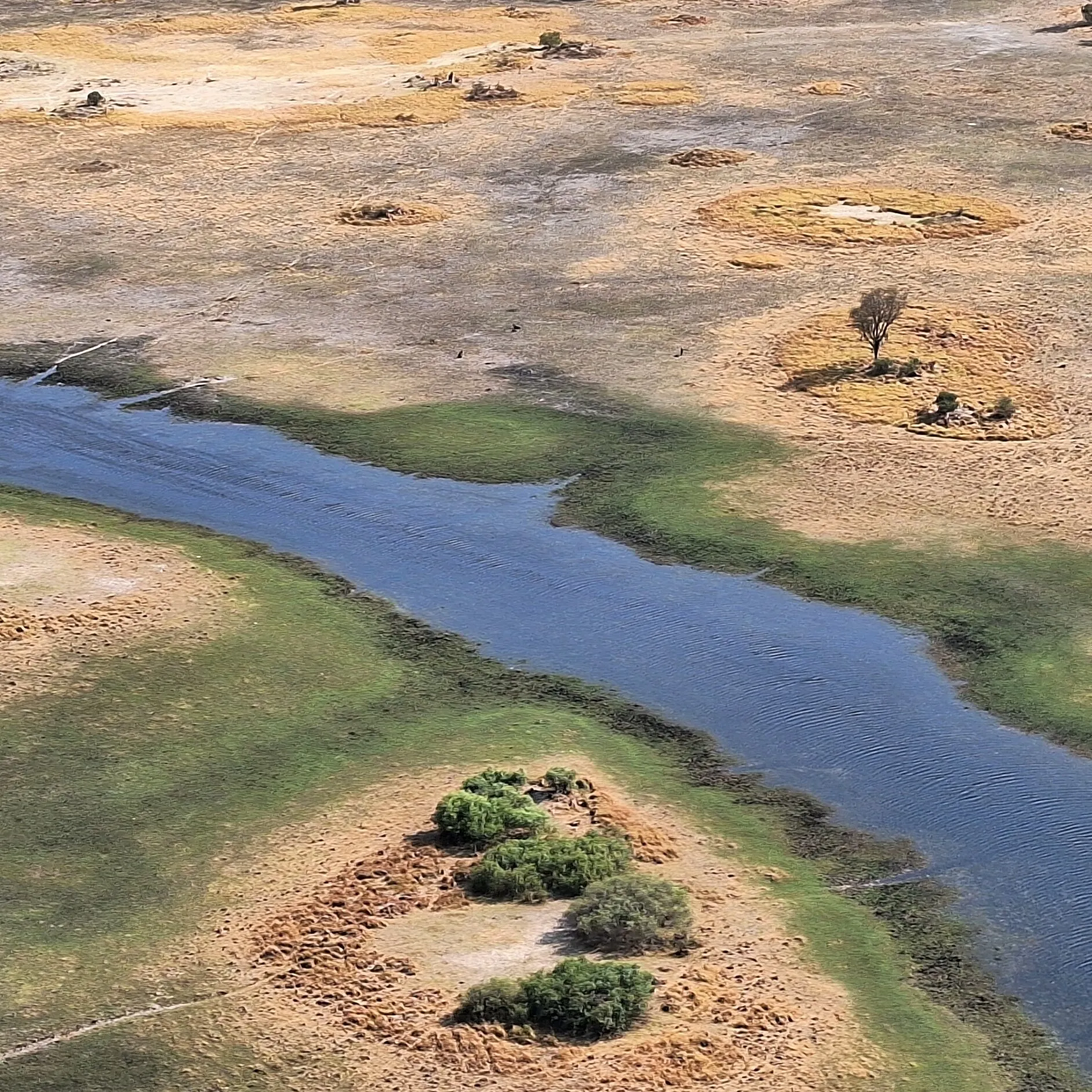 Okavango Delta