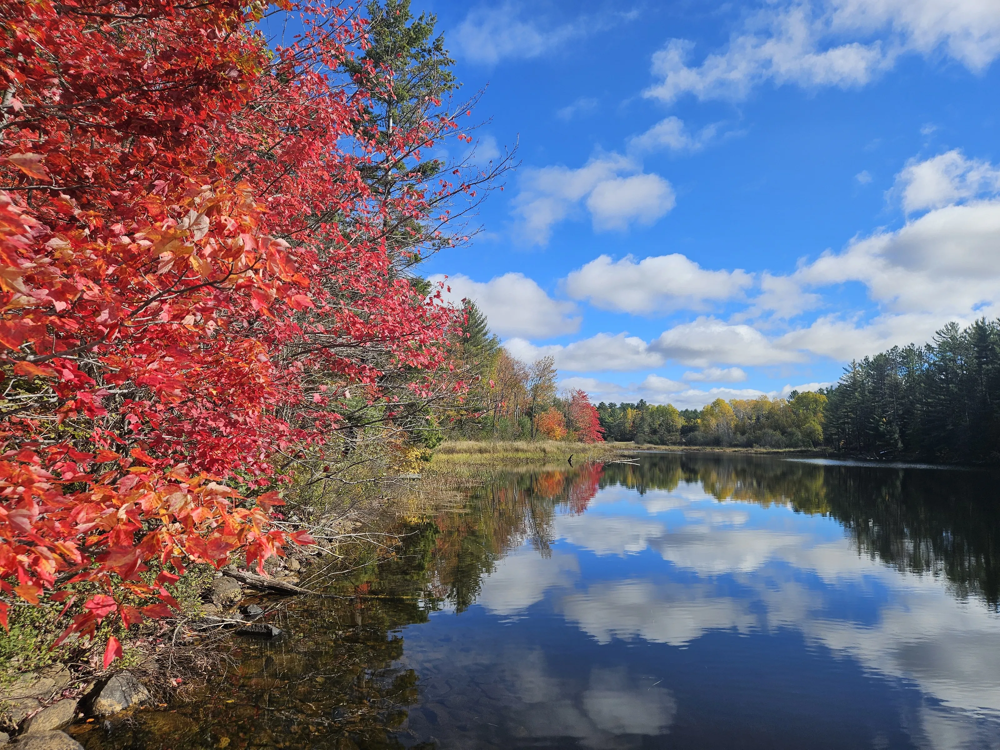 Fall on the lake