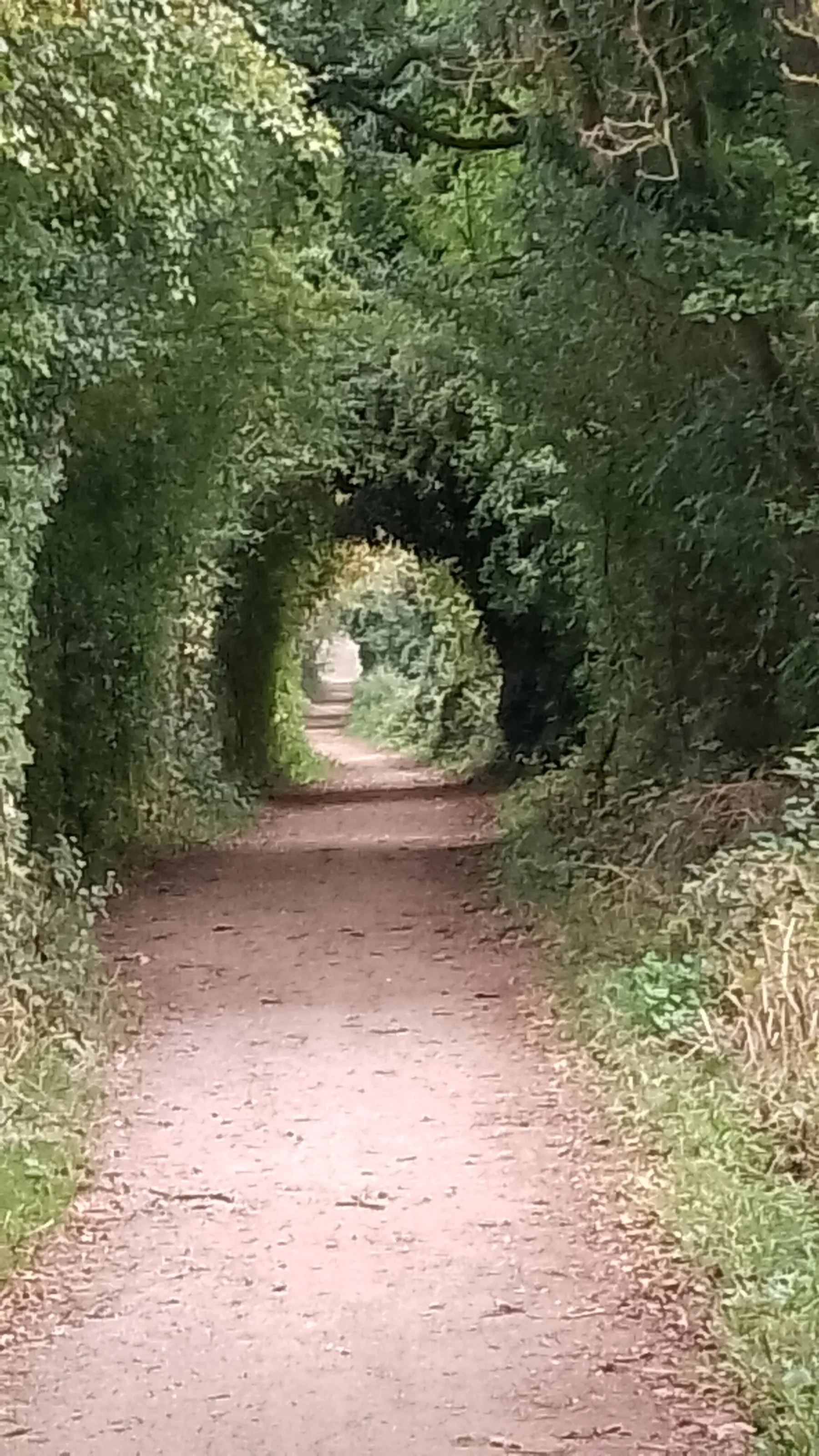 Never ending