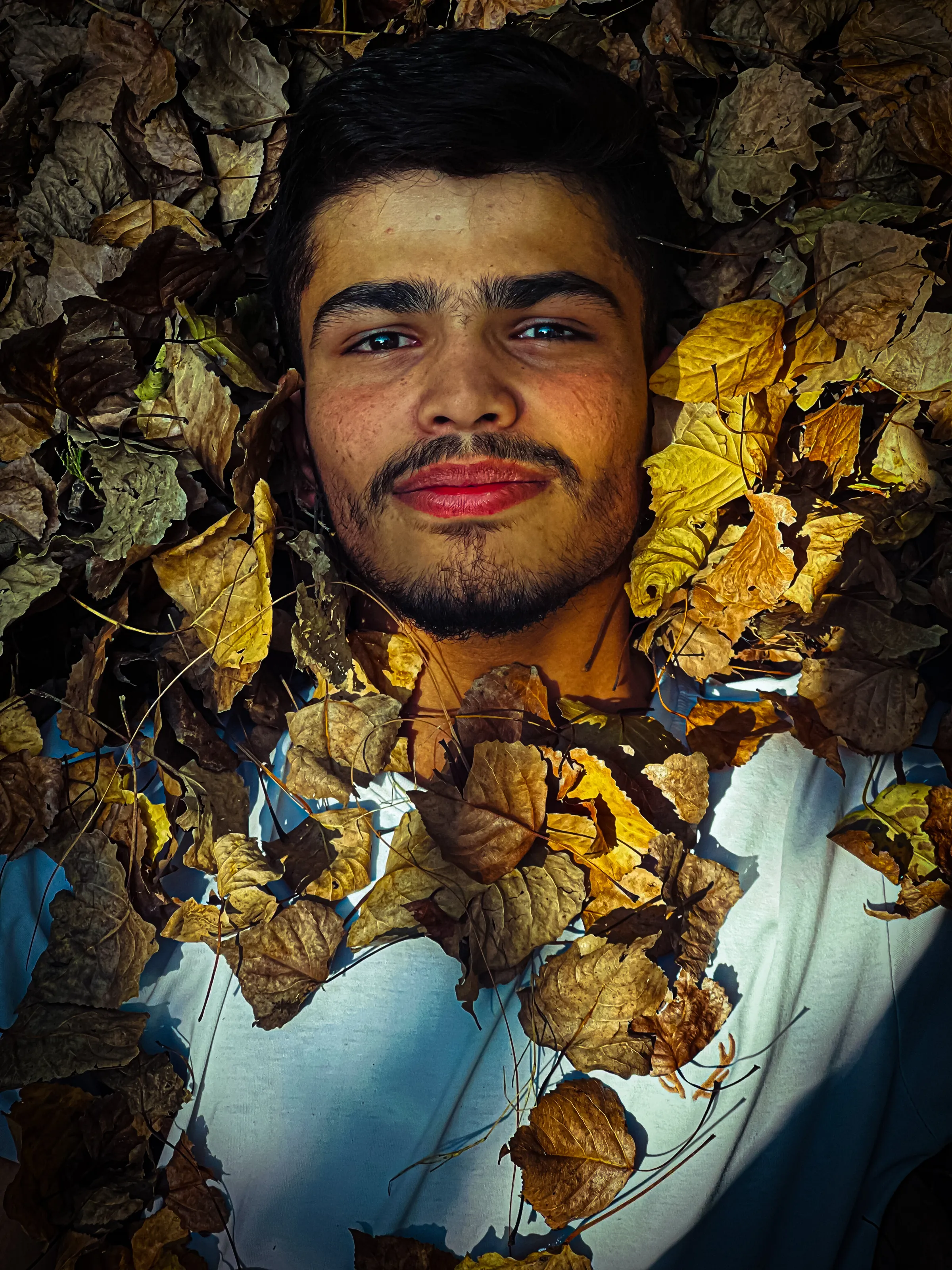 potrait