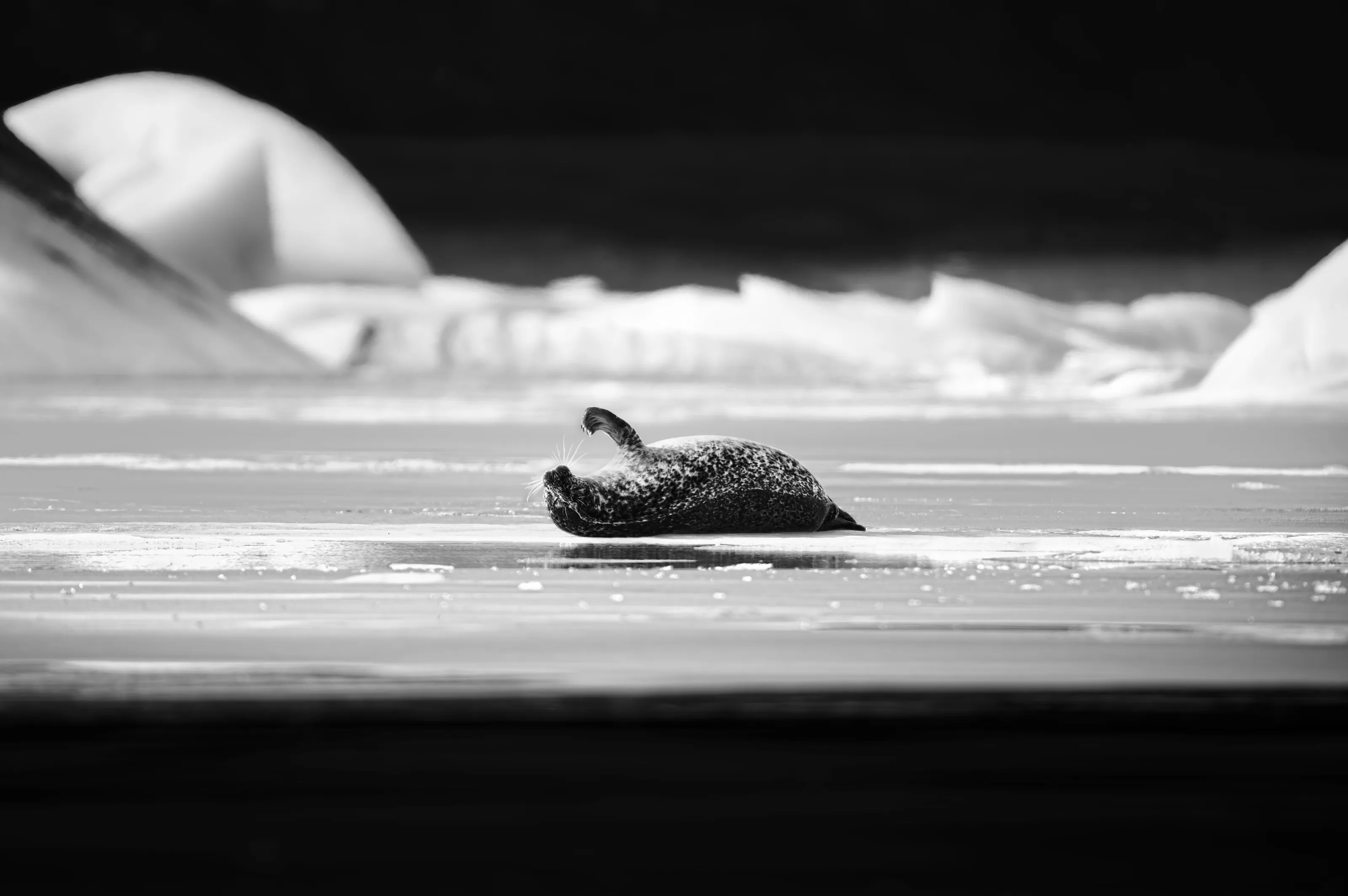 Plénitude