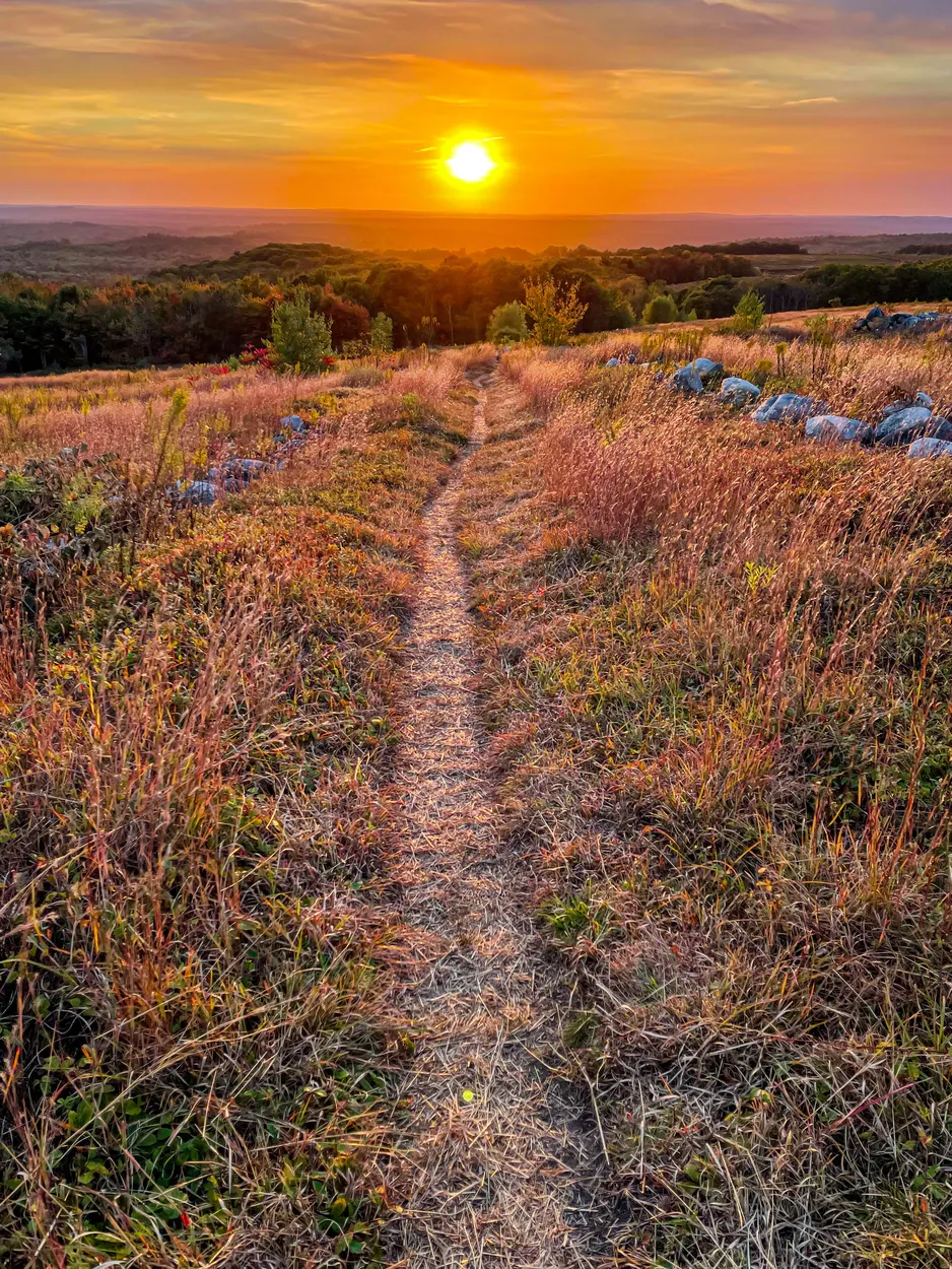 Entry 22043505
