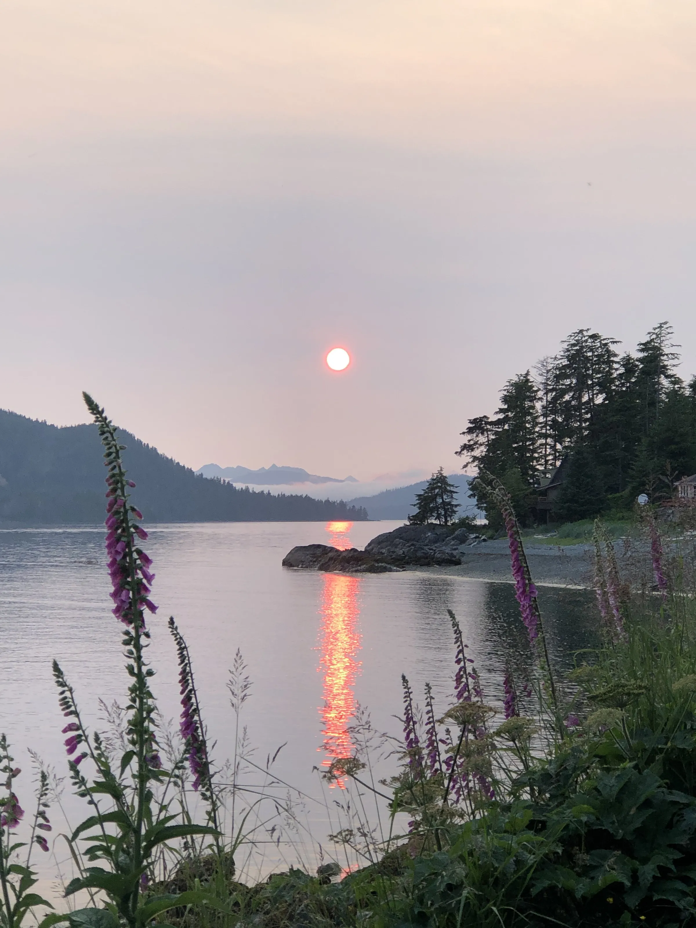 August nights