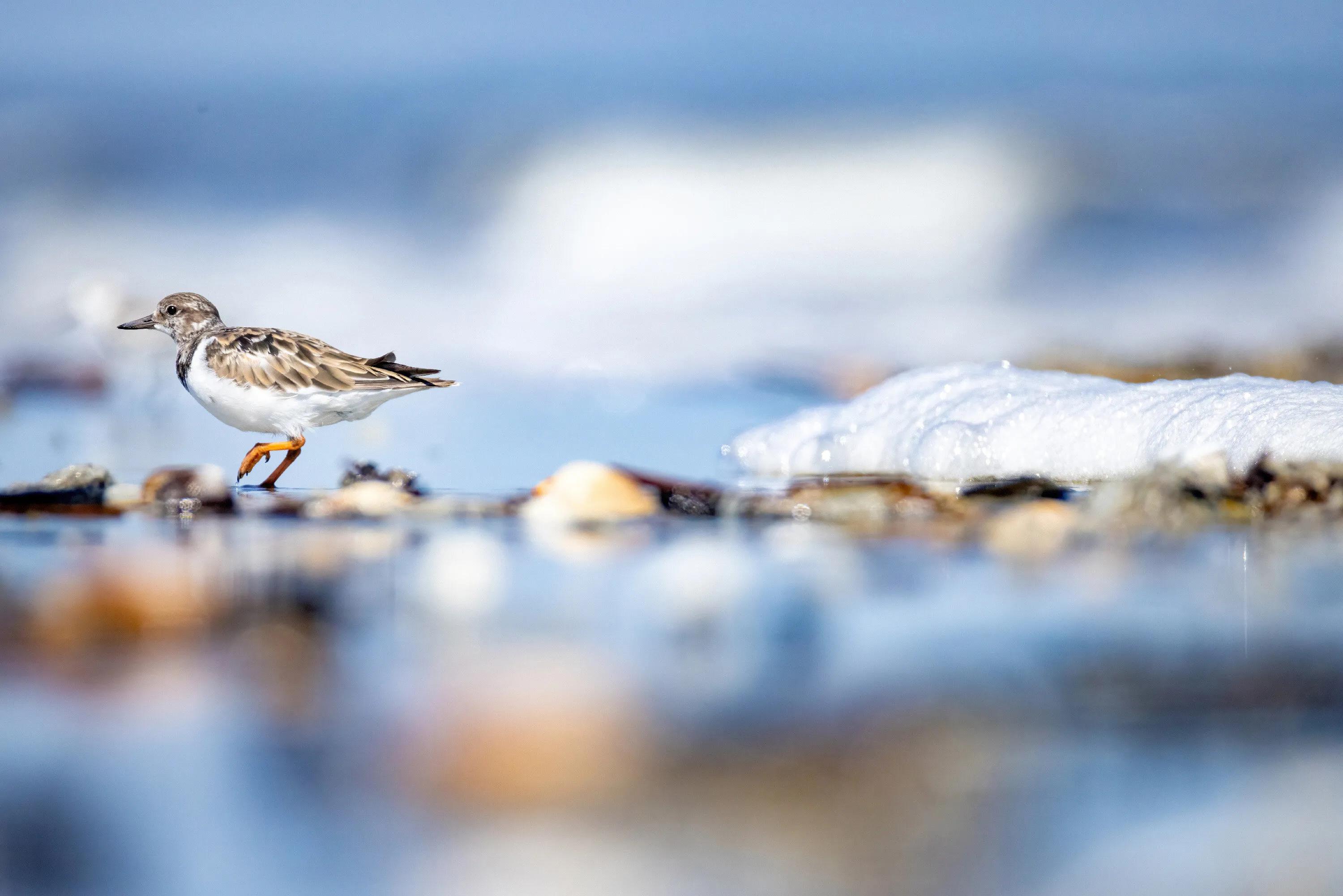 Running from the Surf