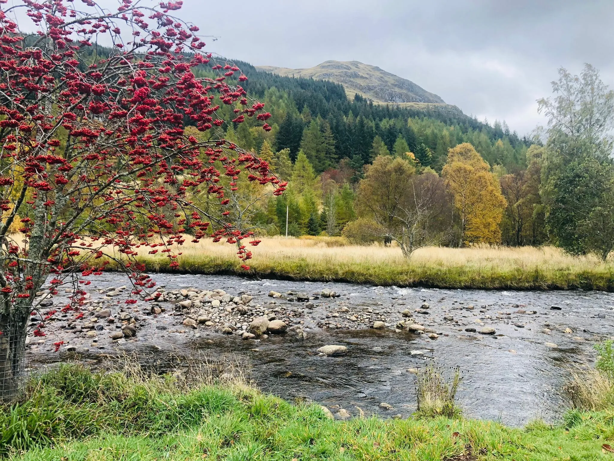 Scotland