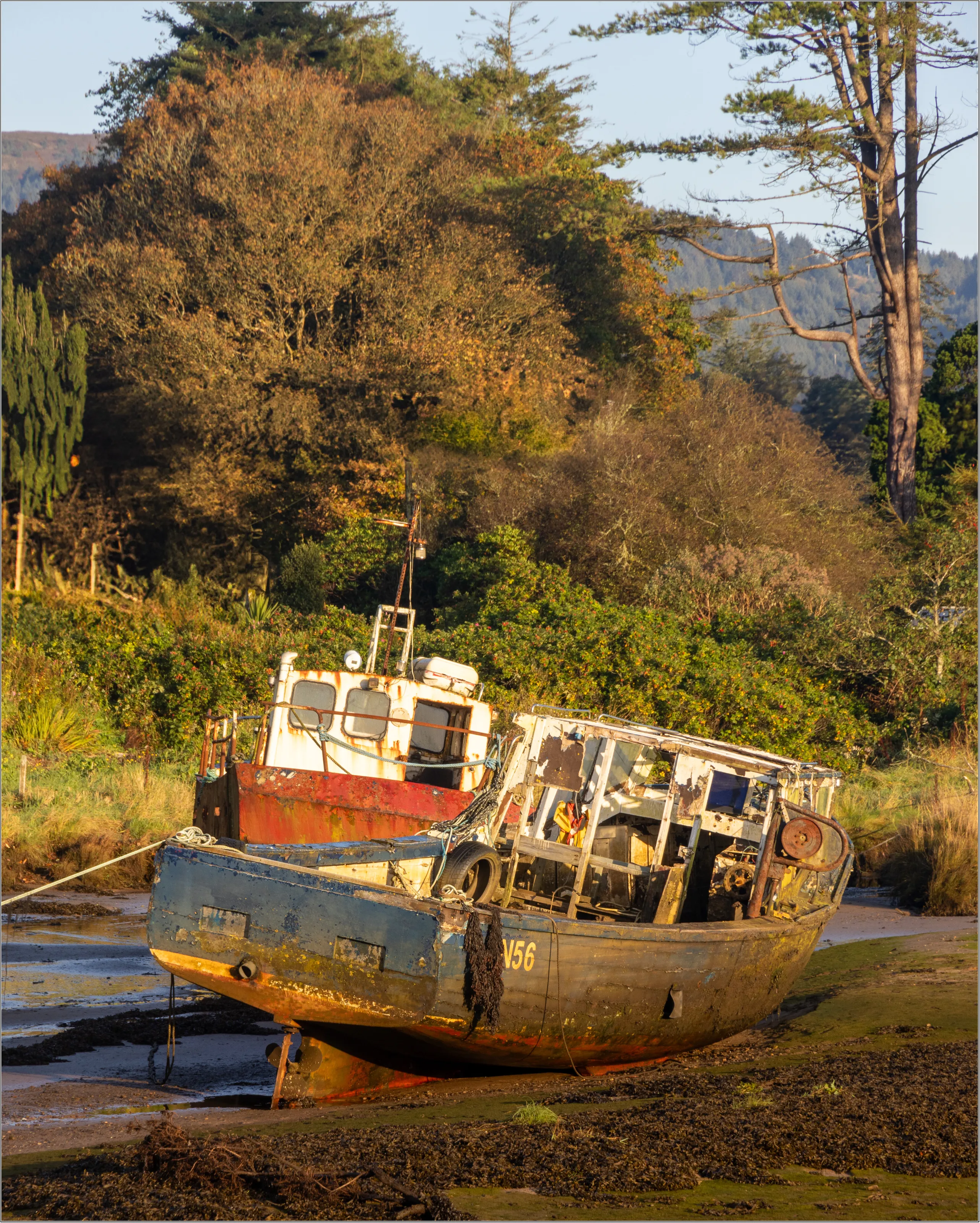 The Fishing Fleet