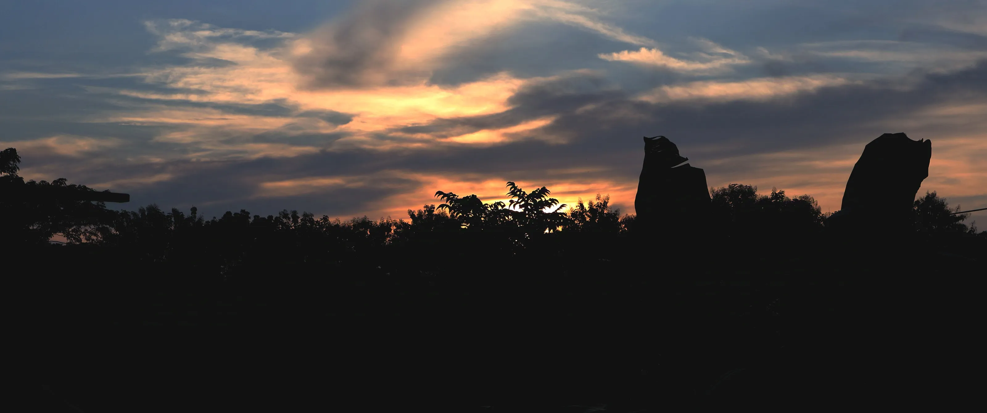 Sunset Silhouettes