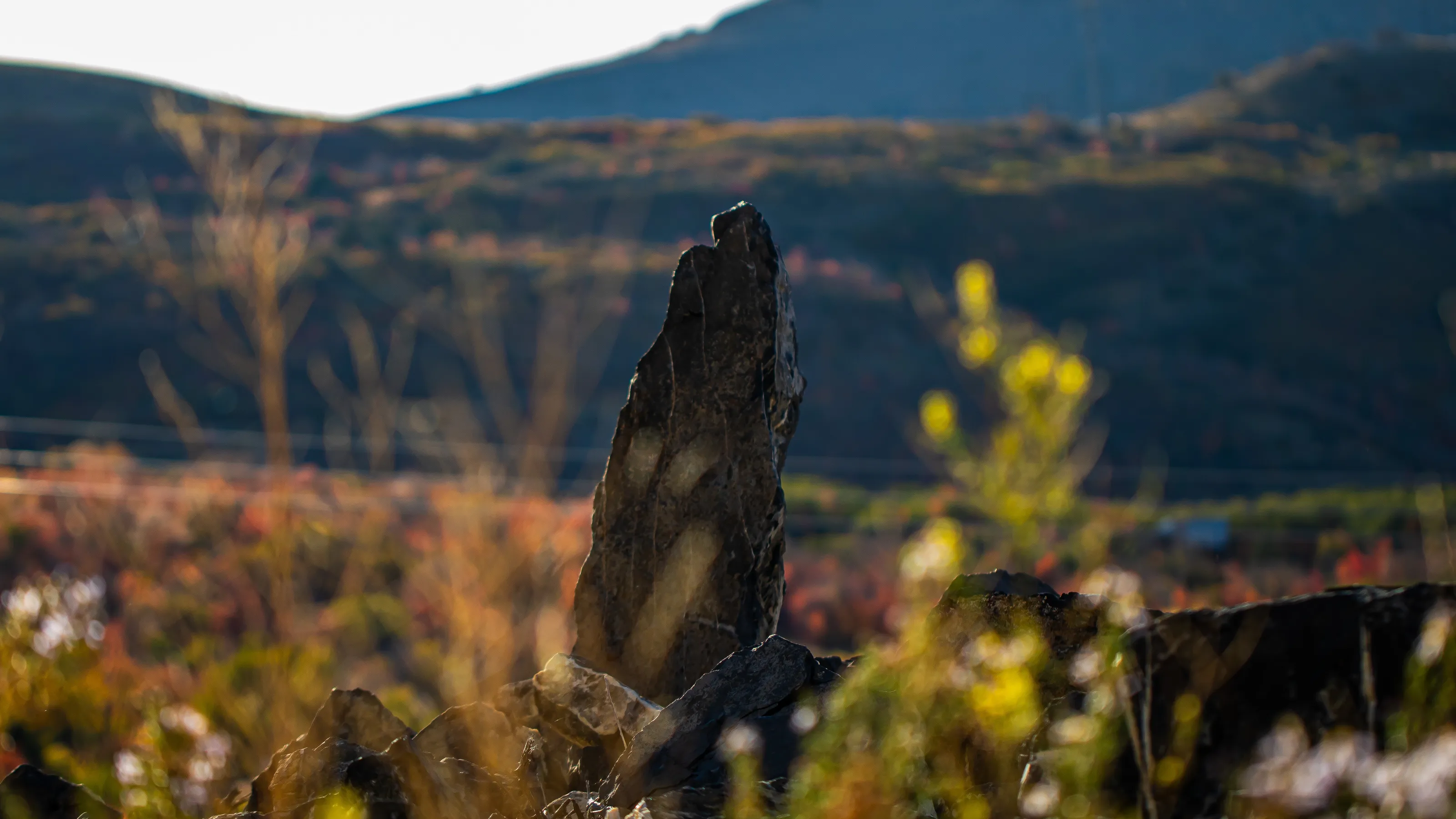 A Mountain Sentinel
