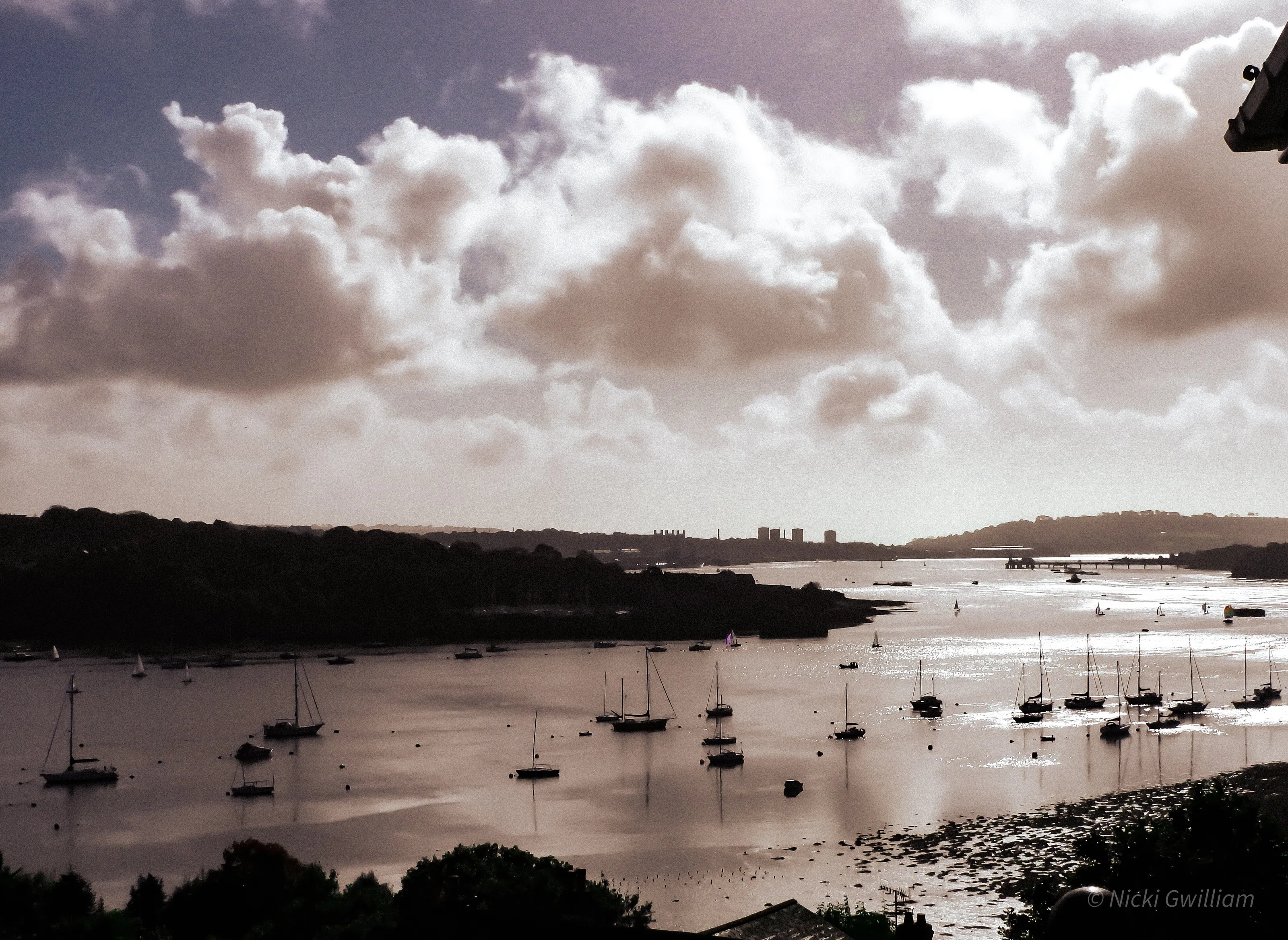 Tamar River