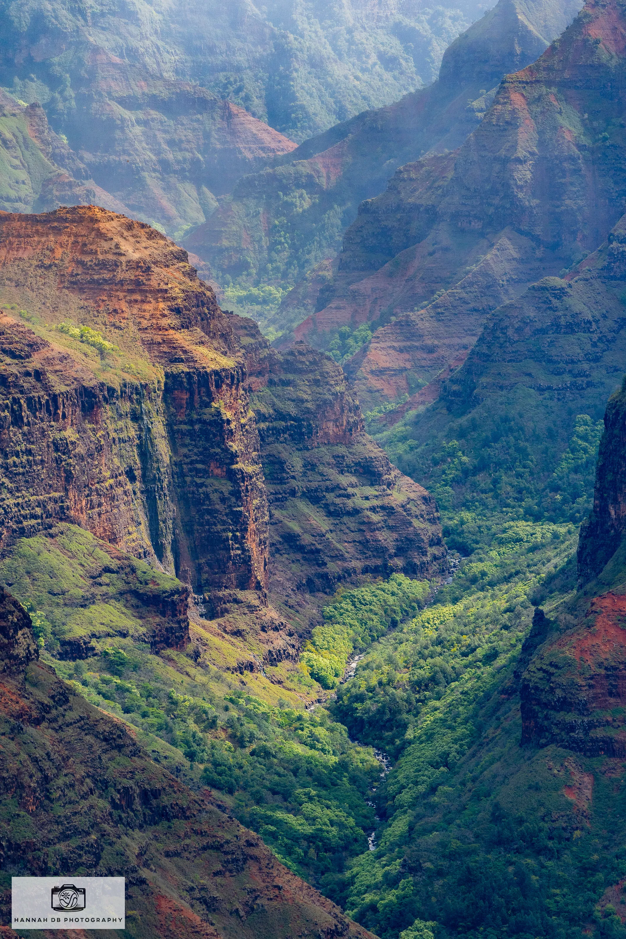 The Valleys of Waimea Canyon