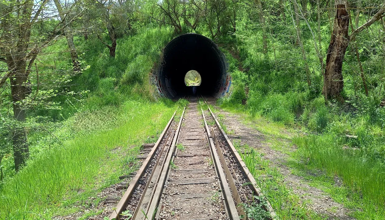 Entry 27284558