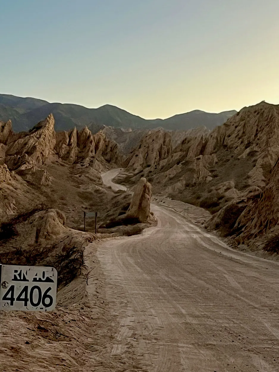 Entry 22307084