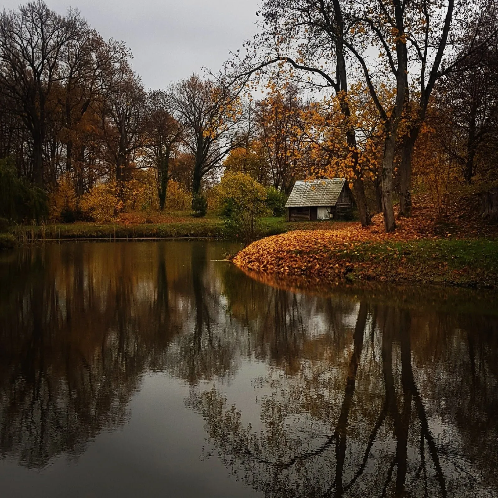 Осень - ты прекрасна