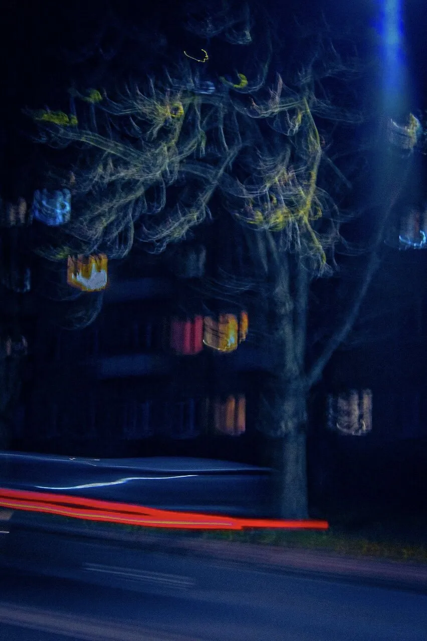 Banner image