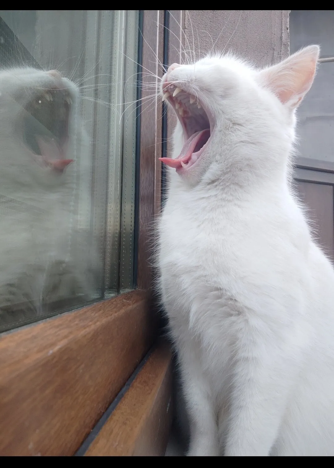 Yes , it's morning time