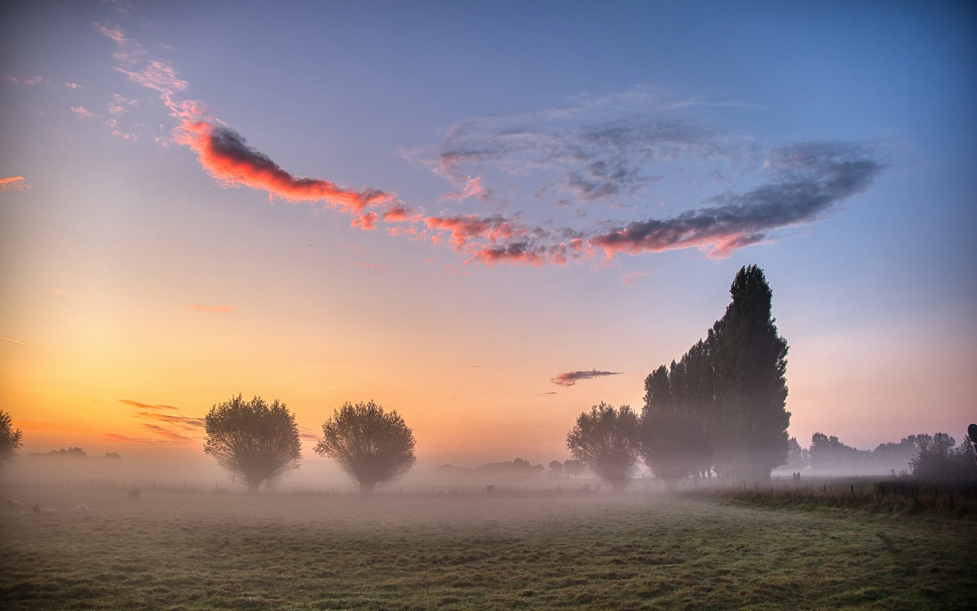 Misty landscapes