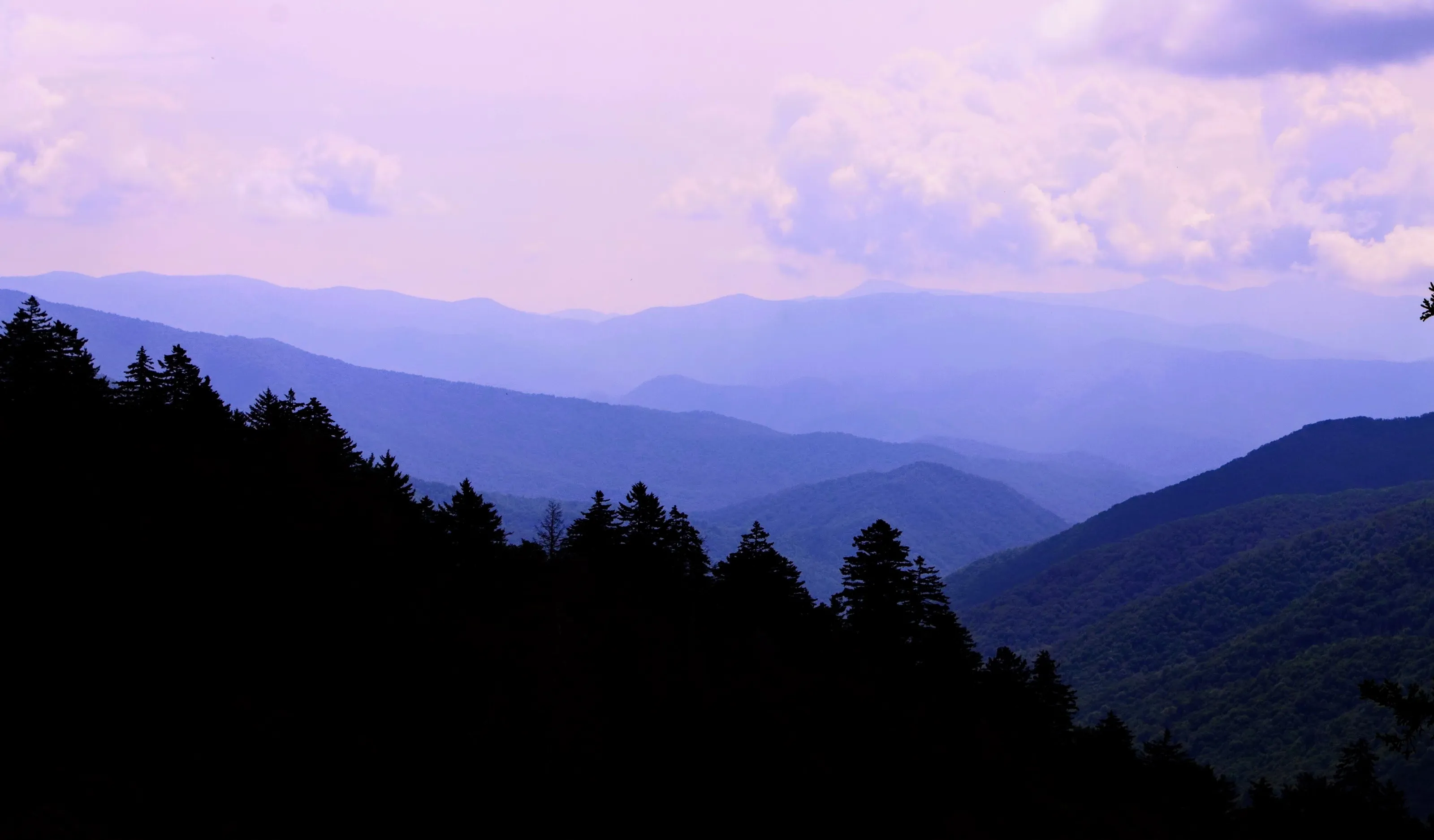 The Smokies
