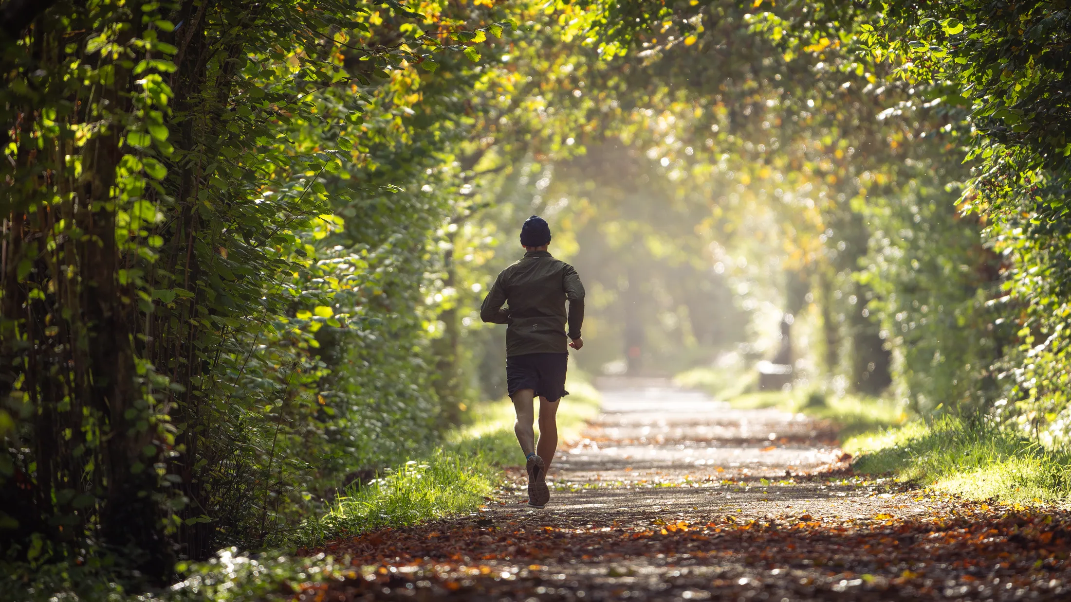 Entry 22138170