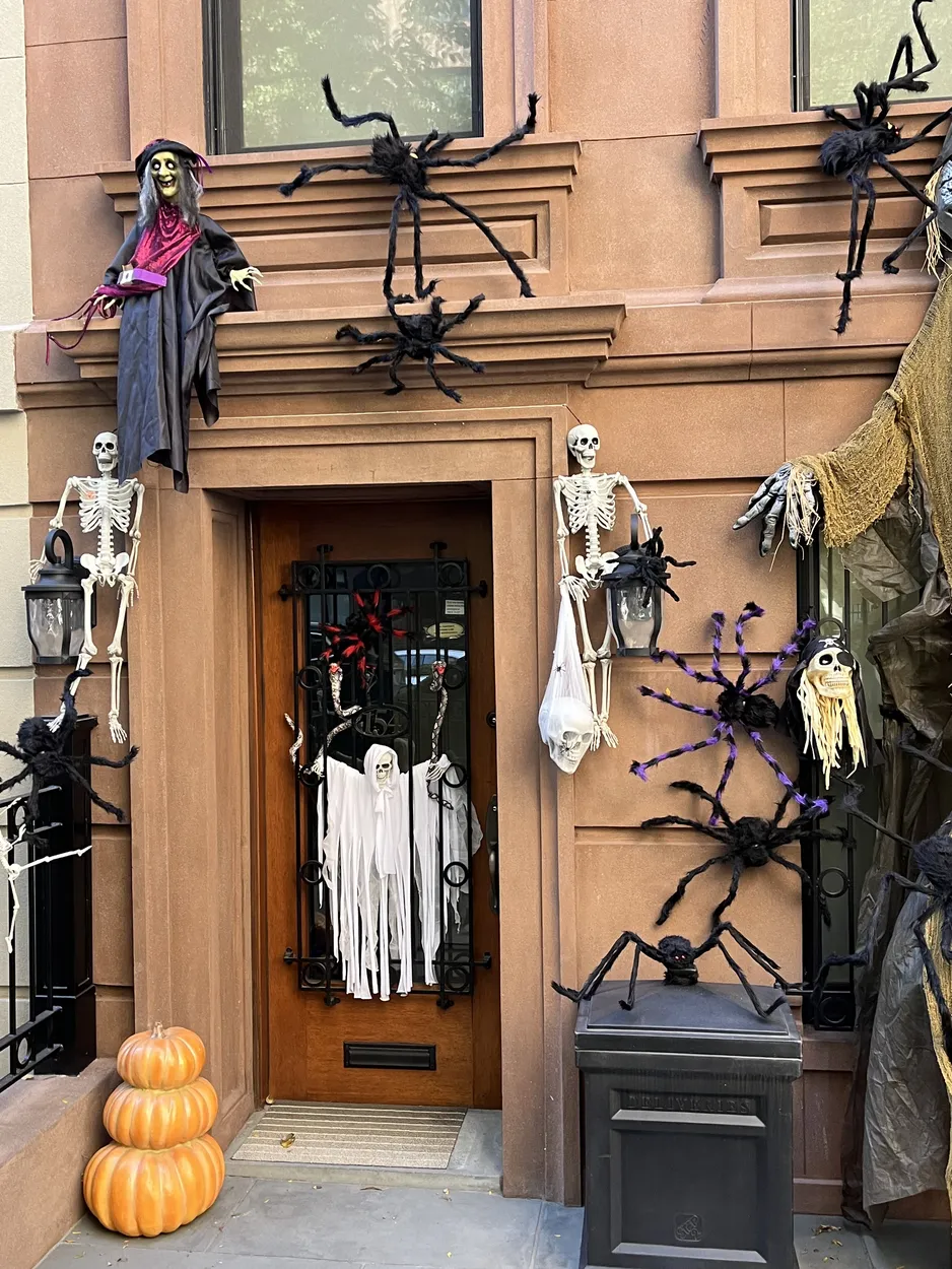 Entry 22127852