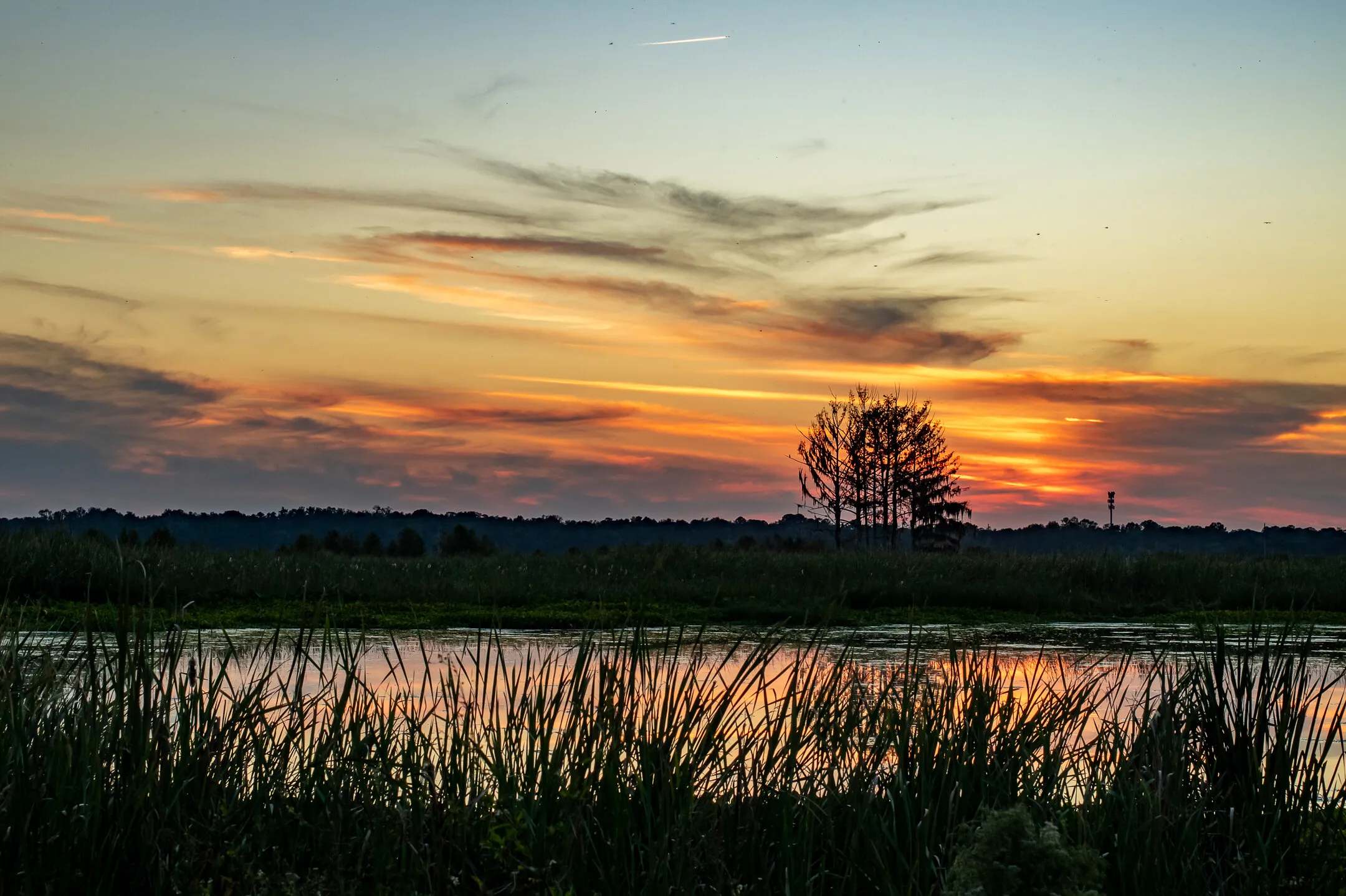 Sweetwater