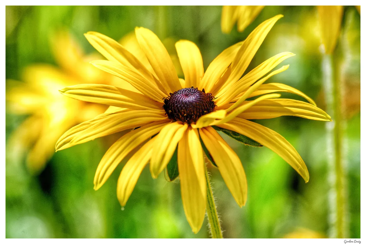 Entry 24843758
