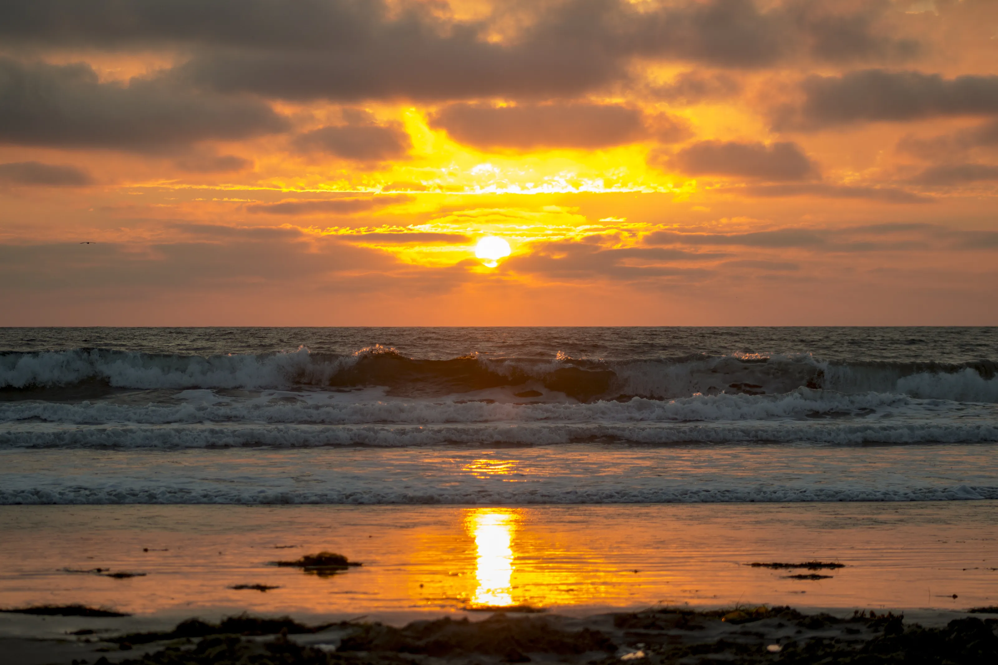 Beauty of the Sun