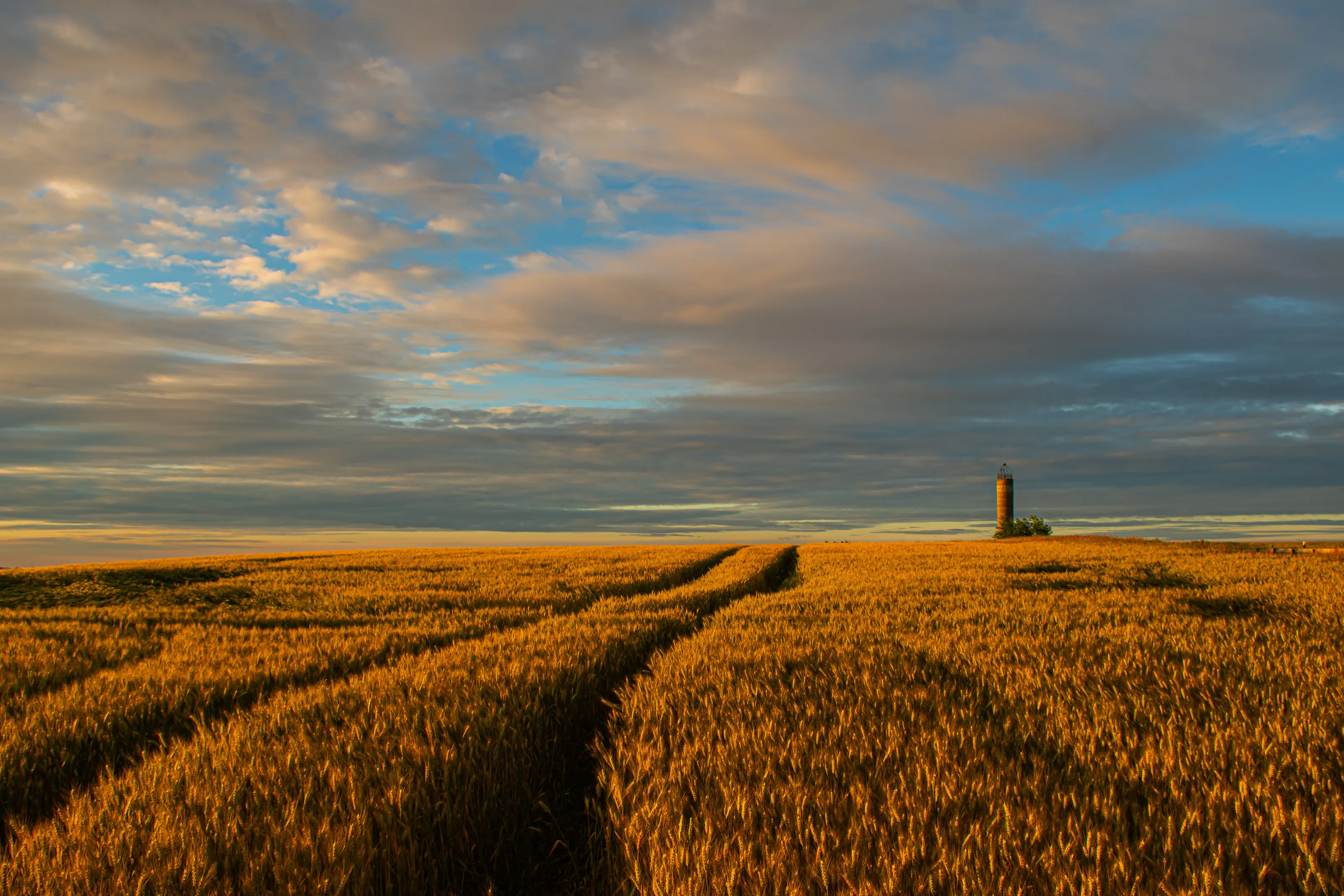 Tower on the horizon