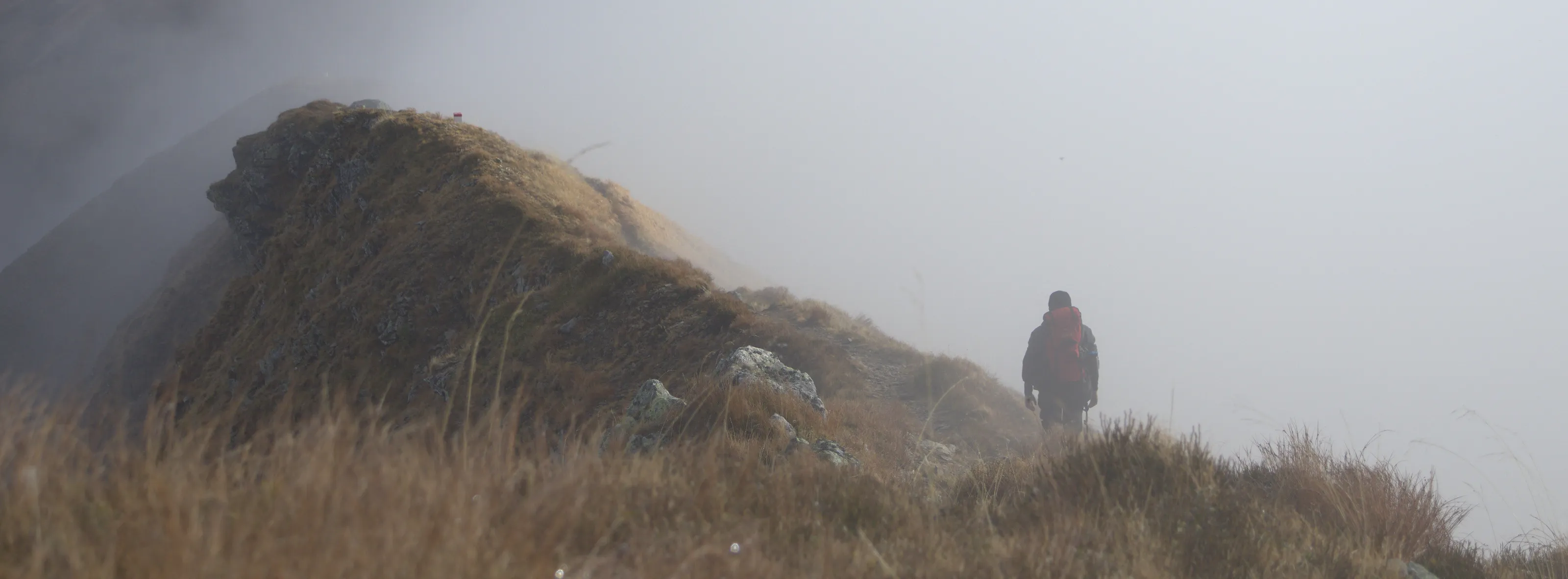 Wandering through the clouds